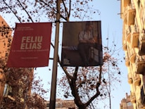 Banners hang on a pole along a street bordered by trees and buildings. One banner displays a text advertisement for a Feliu Elias exhibit at the Museu Nacional d’Art de Catalunya. The other banner shows an art piece featuring a figure leaning against a table. The trees are bare, suggesting autumn or winter, and the buildings have classic European architectural features with balconies.