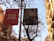 Banners hang on a pole along a street bordered by trees and buildings. One banner displays a text advertisement for a Feliu Elias exhibit at the Museu Nacional d’Art de Catalunya. The other banner shows an art piece featuring a figure leaning against a table. The trees are bare, suggesting autumn or winter, and the buildings have classic European architectural features with balconies.