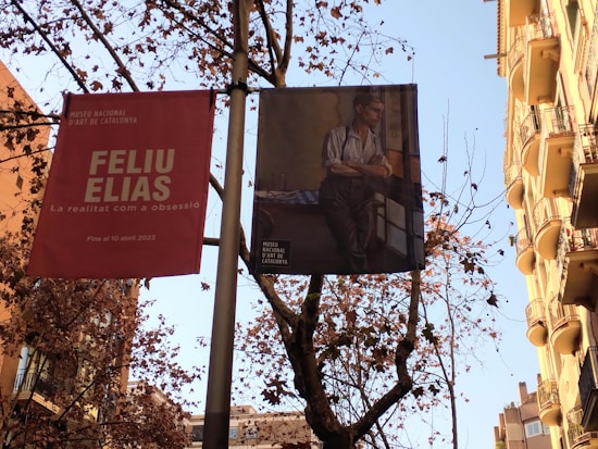 Banners hang on a pole along a street bordered by trees and buildings. One banner displays a text advertisement for a Feliu Elias exhibit at the Museu Nacional d&rsquo;Art de Catalunya. The other banner shows an art piece featuring a figure leaning against a table. The trees are bare, suggesting autumn or winter, and the buildings have classic European architectural features with balconies.