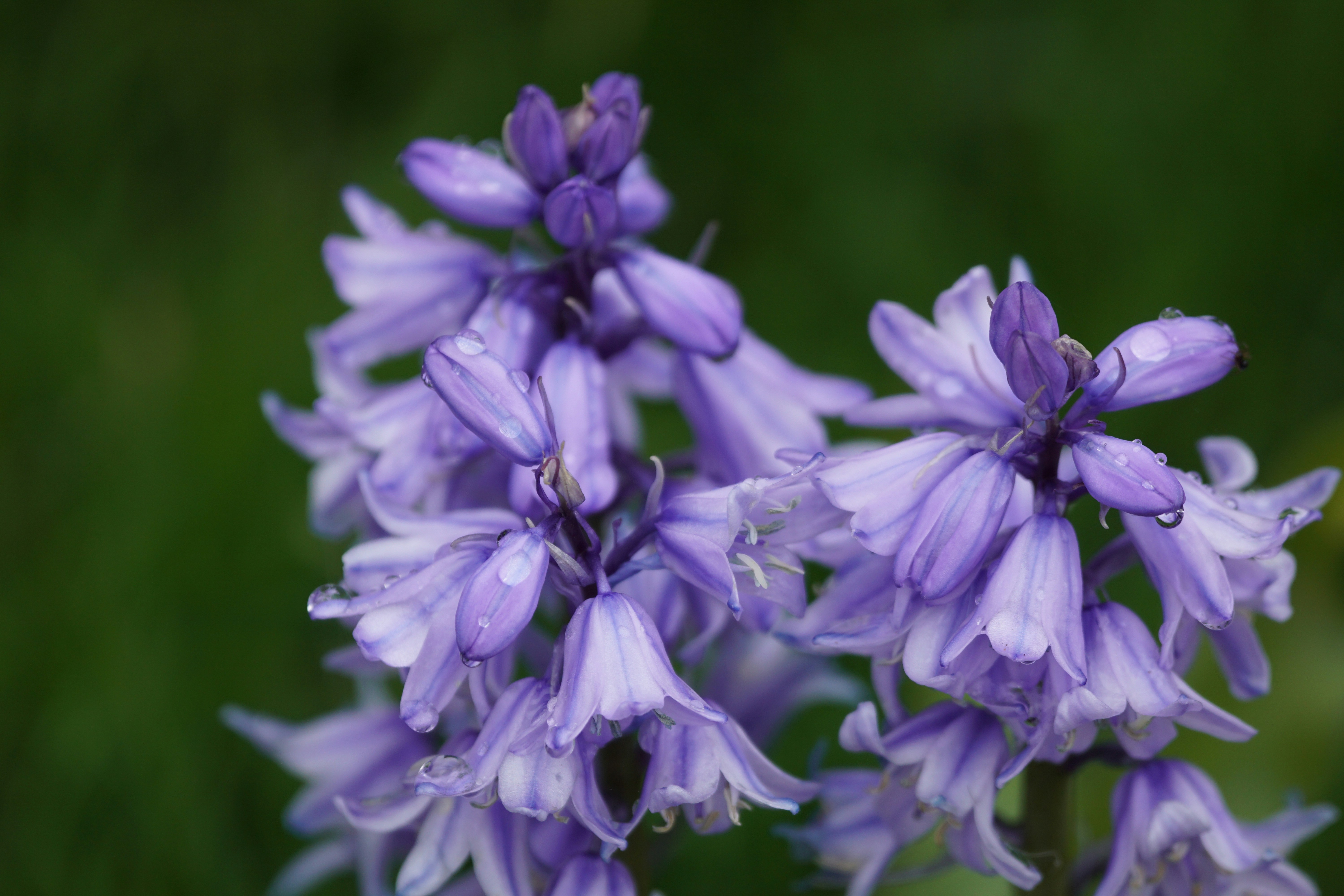 Photo by vladionut93