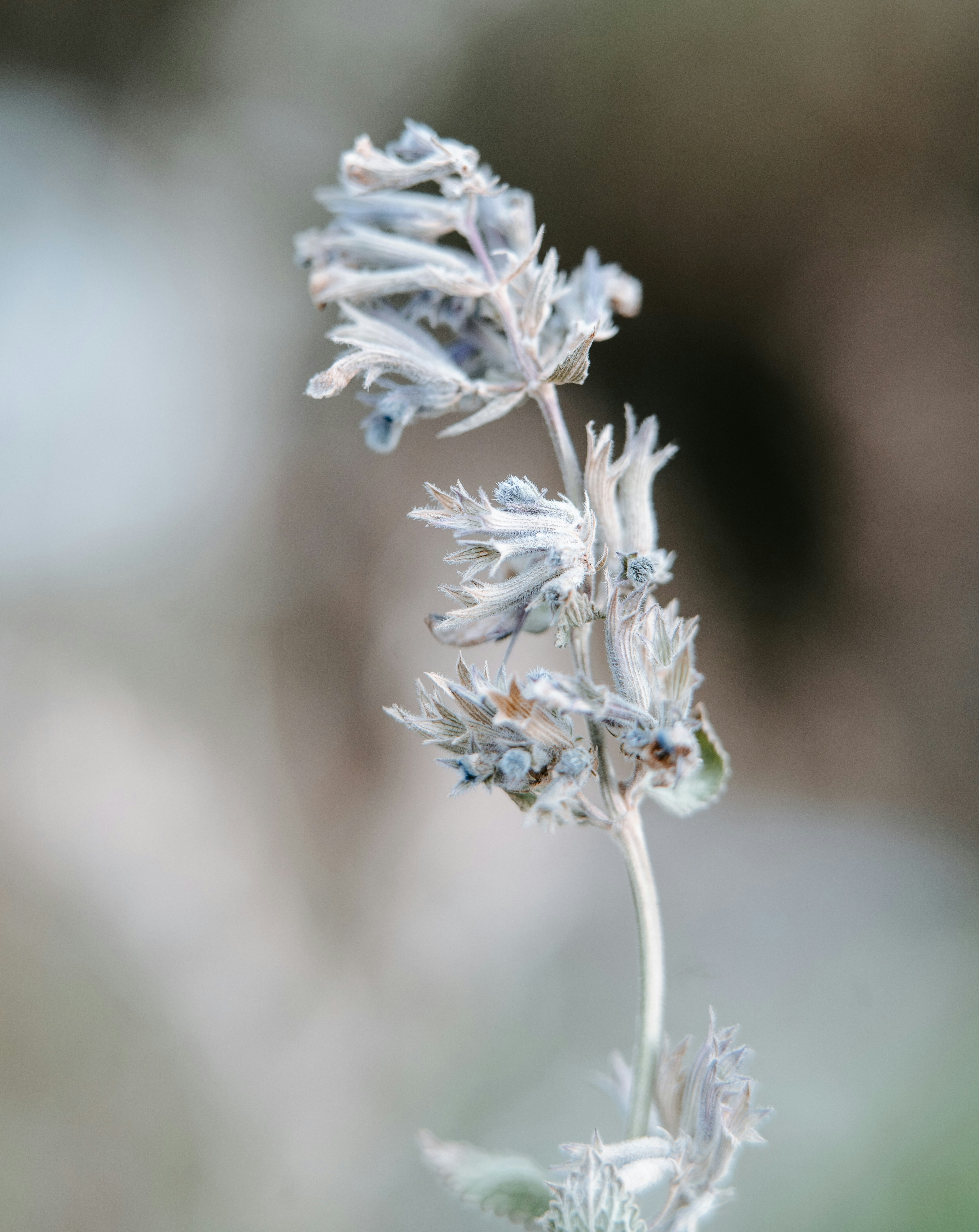 Photo by anamnesis33