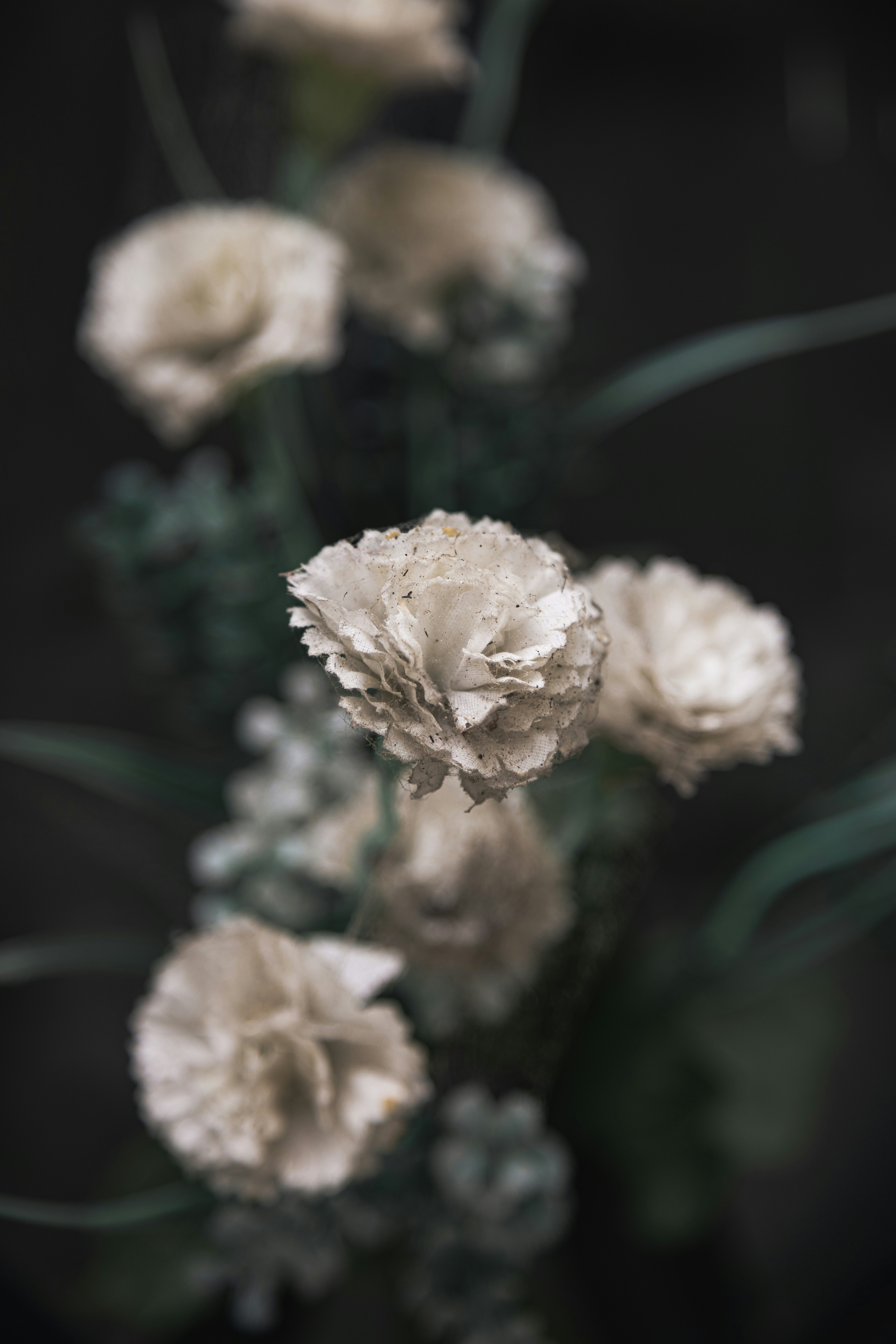 Photo by gabrieluizramos