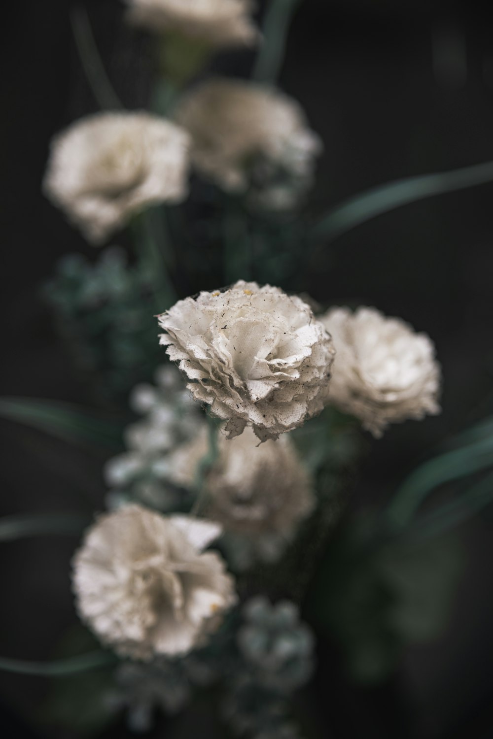 a bunch of flowers that are in a vase