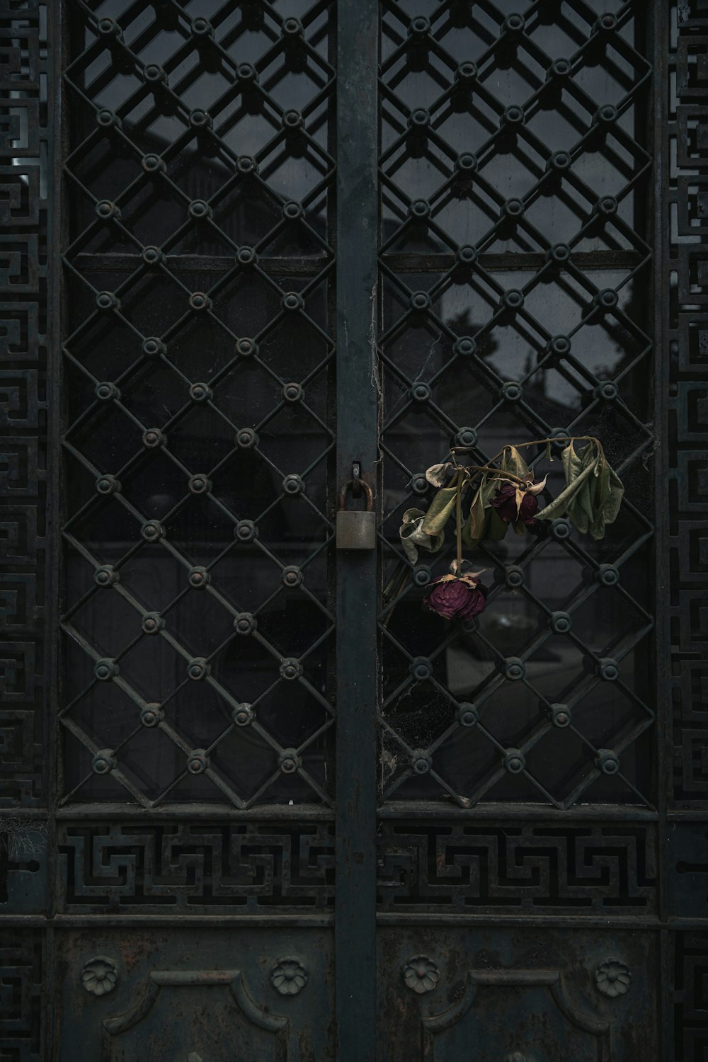 a bunch of flowers that are sitting on a gate