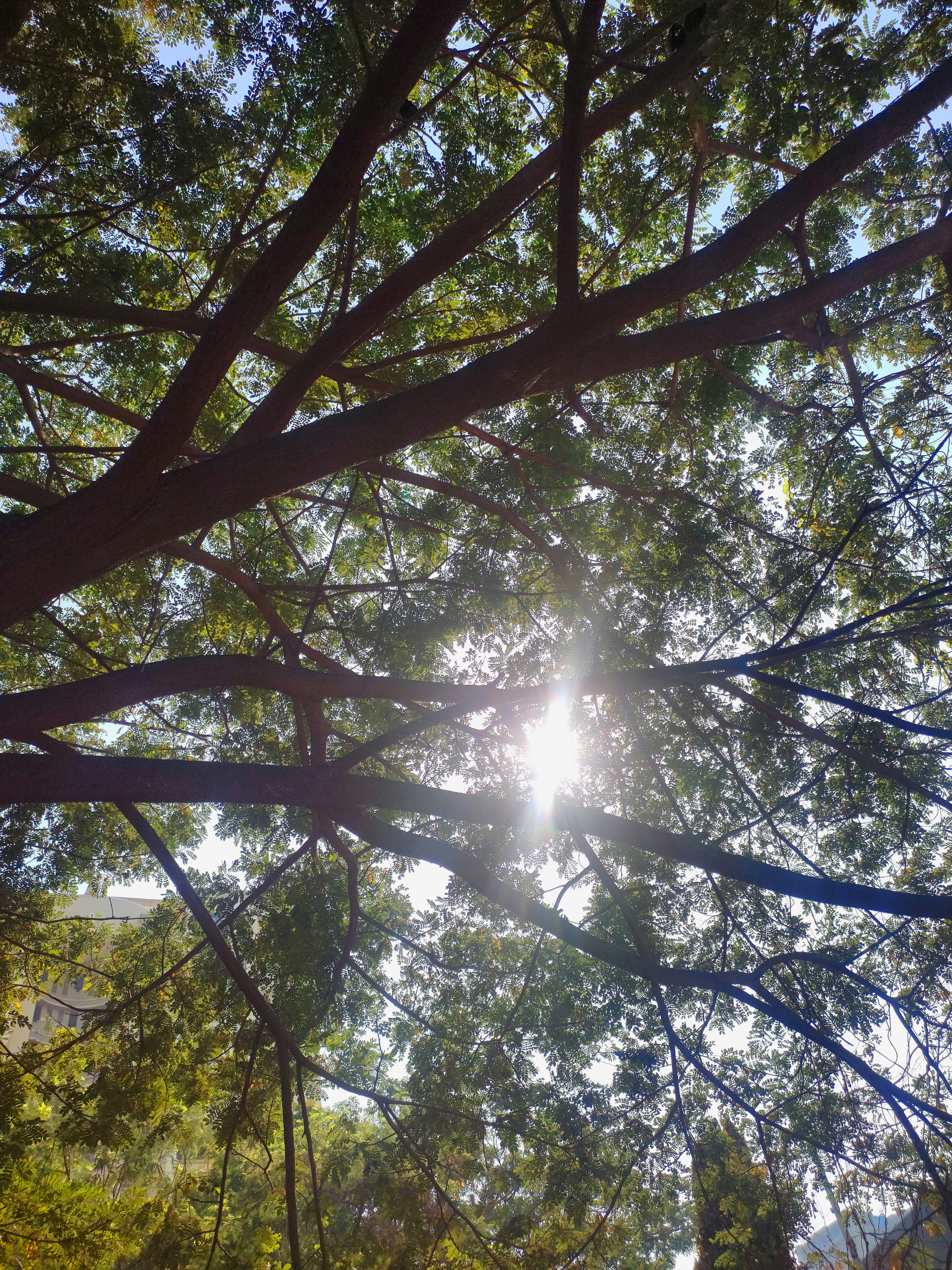 Photo by sagarpatel0604