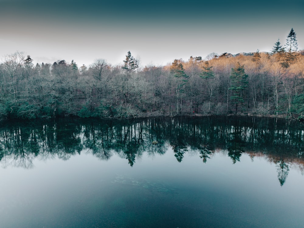 a large body of water surrounded by trees