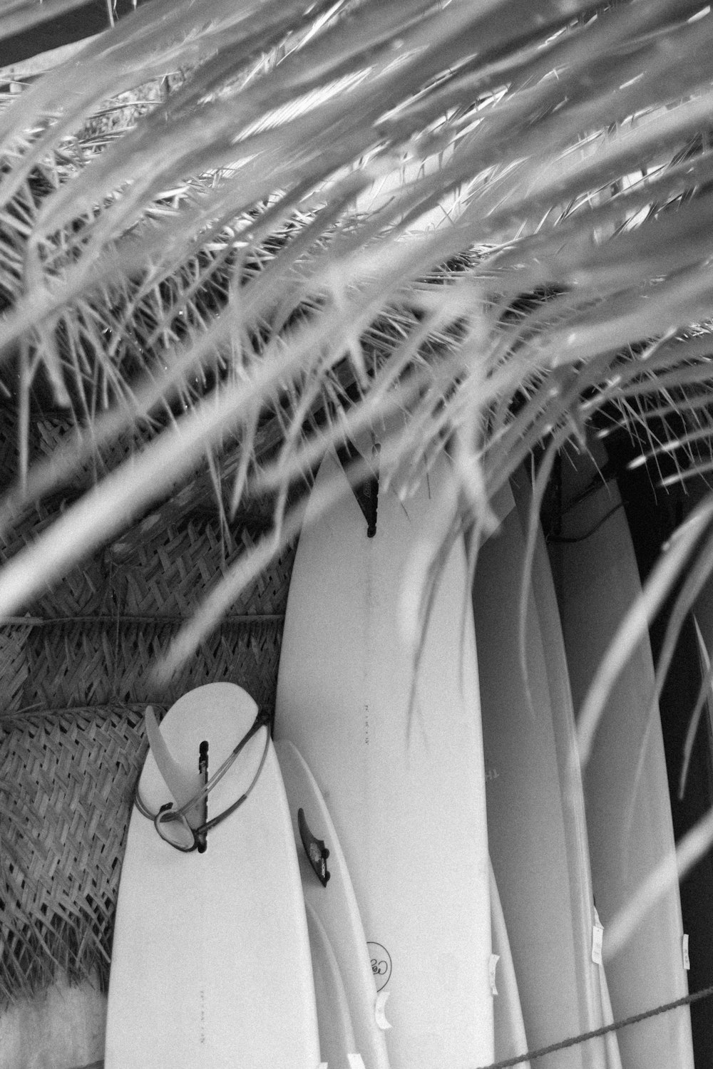 a bunch of surfboards are lined up against a wall