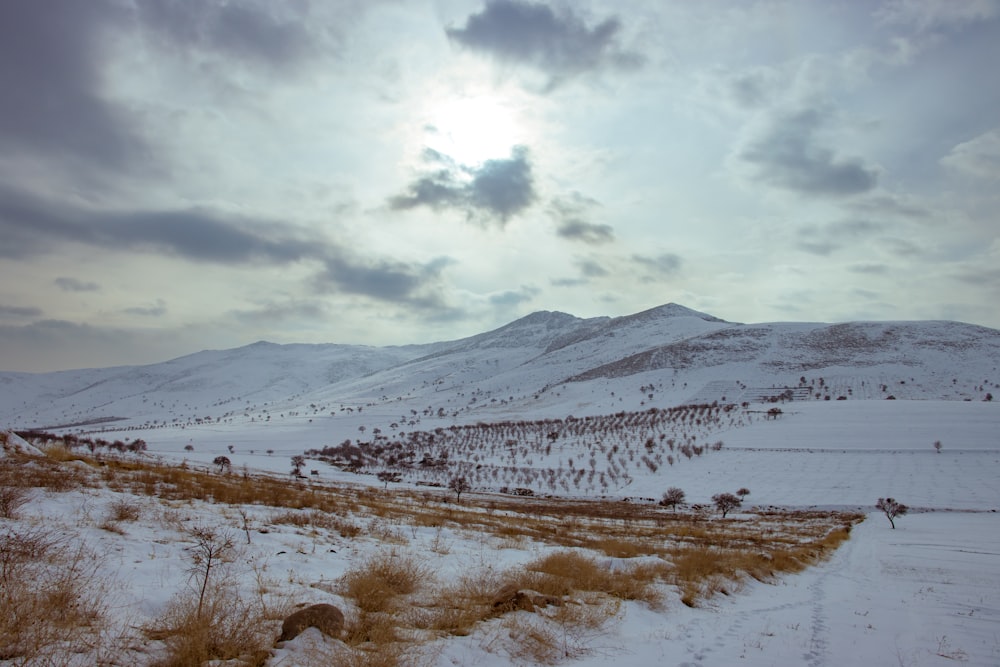 a snow covered field with a mountain in the background