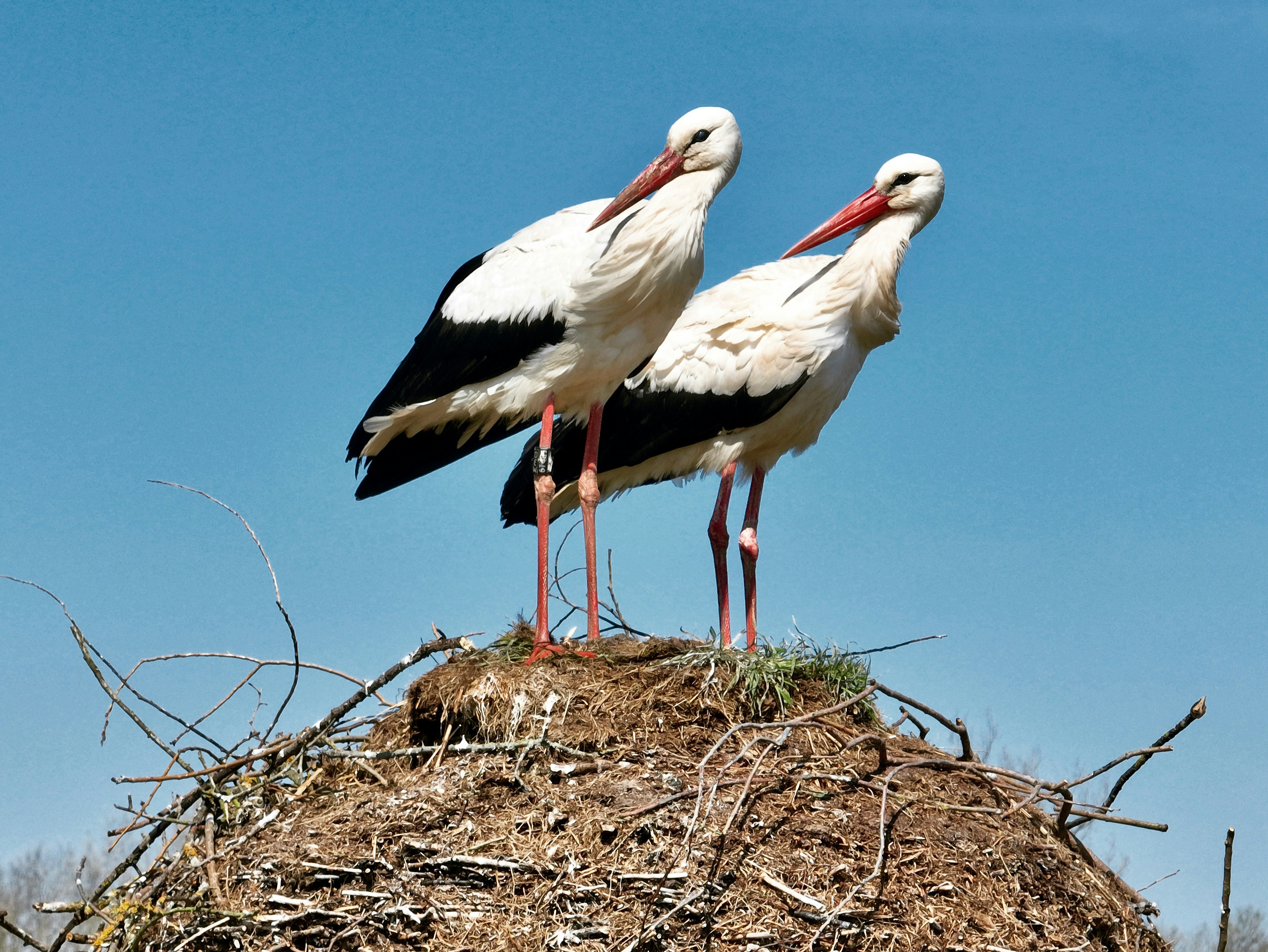 Photo by andreasfelske