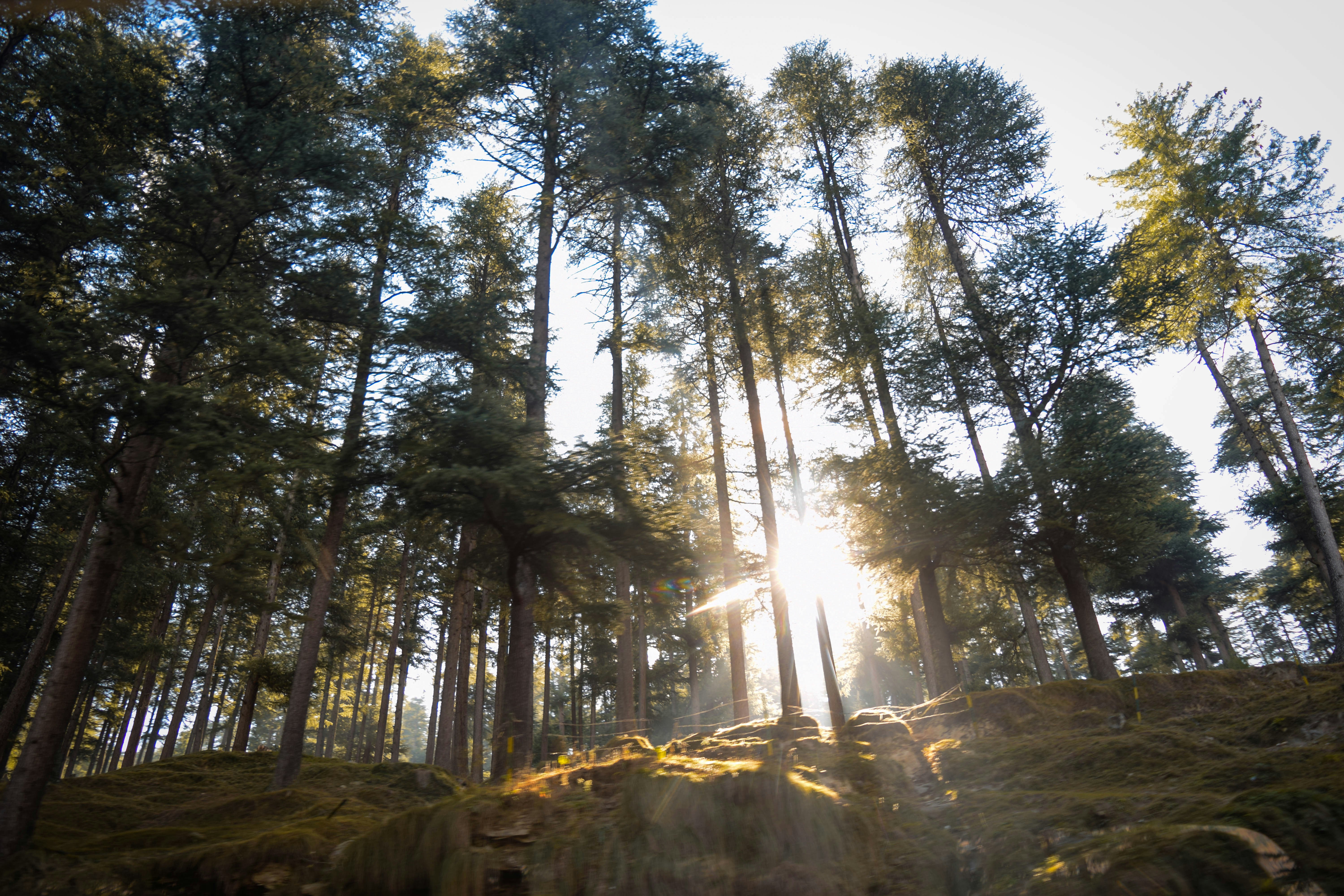 Photo by shivashami_16