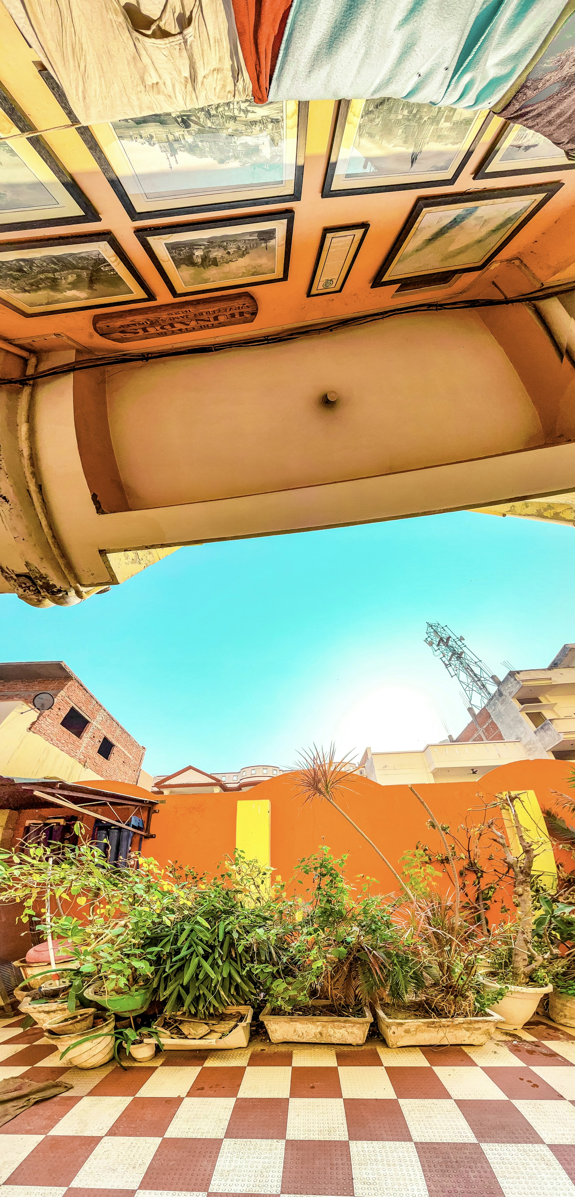 Close-up of patio tiles restored to bright, vibrant colors after a thorough pressure washing, framed by blooming local plants.