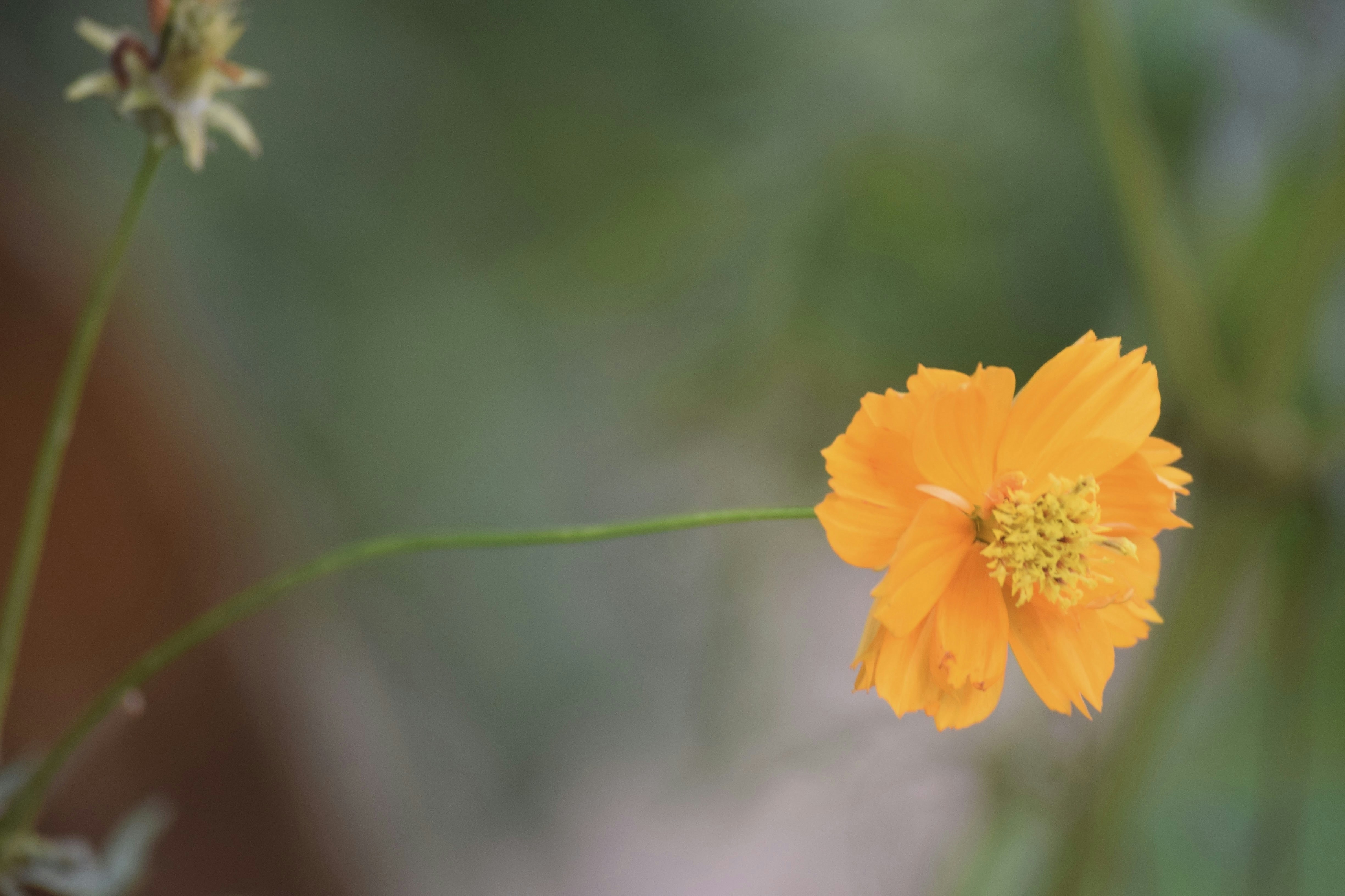 Photo by praswinprakashan