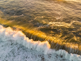 Golden sunlight glistens over the surface of gentle ocean waves. The water's movement is captured beautifully as waves crest with foamy white tops. The play of light creates a serene and warm atmosphere, accentuating the texture of the water.