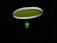 A badminton racket is suspended in the air against a black background. The strings of the racket are illuminated in a bright lime green color, contrasting with the dark surroundings. The handle of the racket is partially visible in a blurred focus.