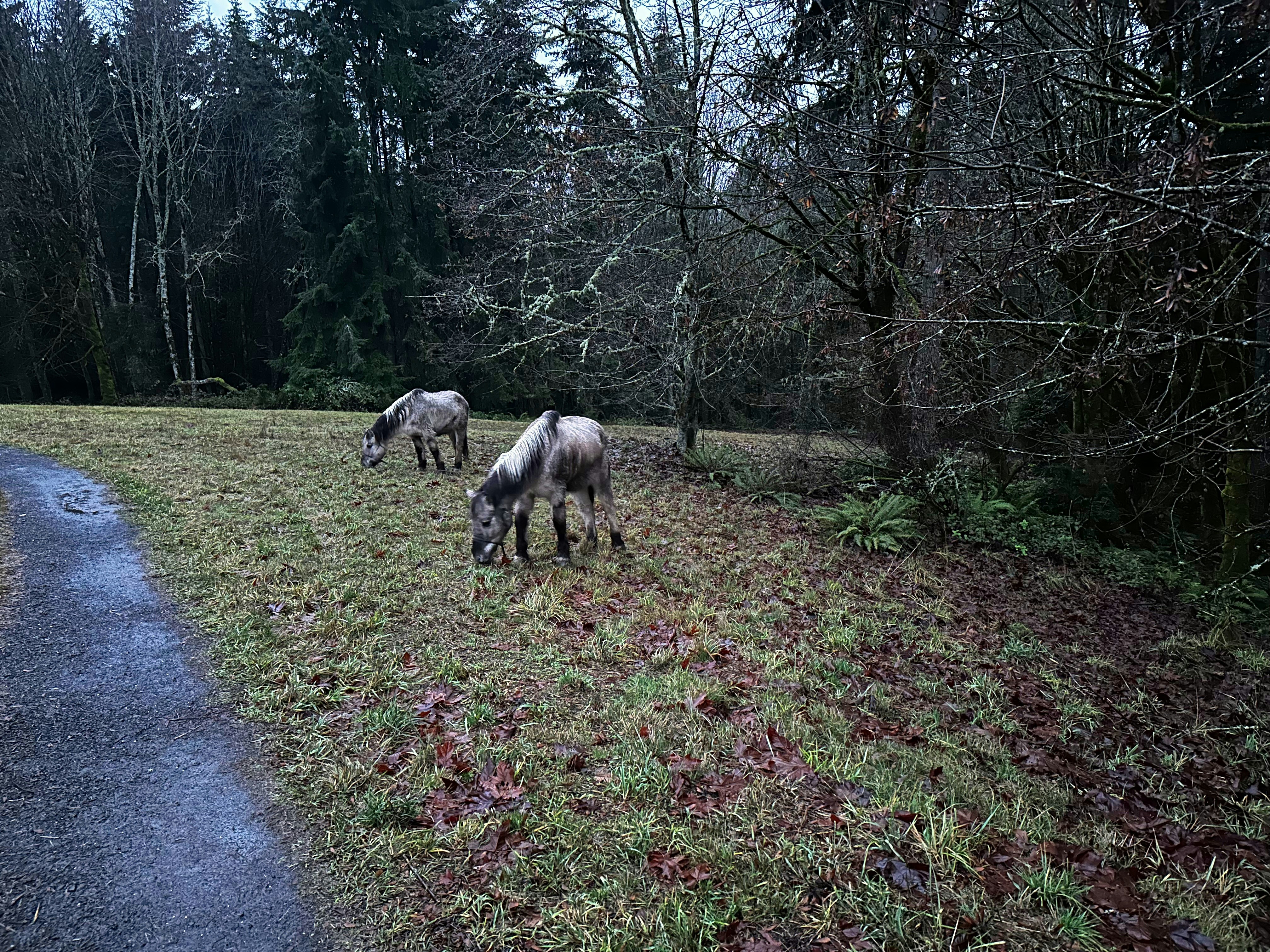 Bainbridge State Park