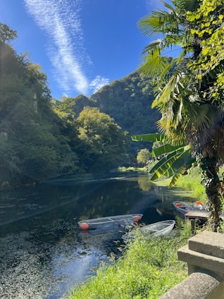A serene river scene with boats and greenery, symbolizing the inland waterways of Brazil.