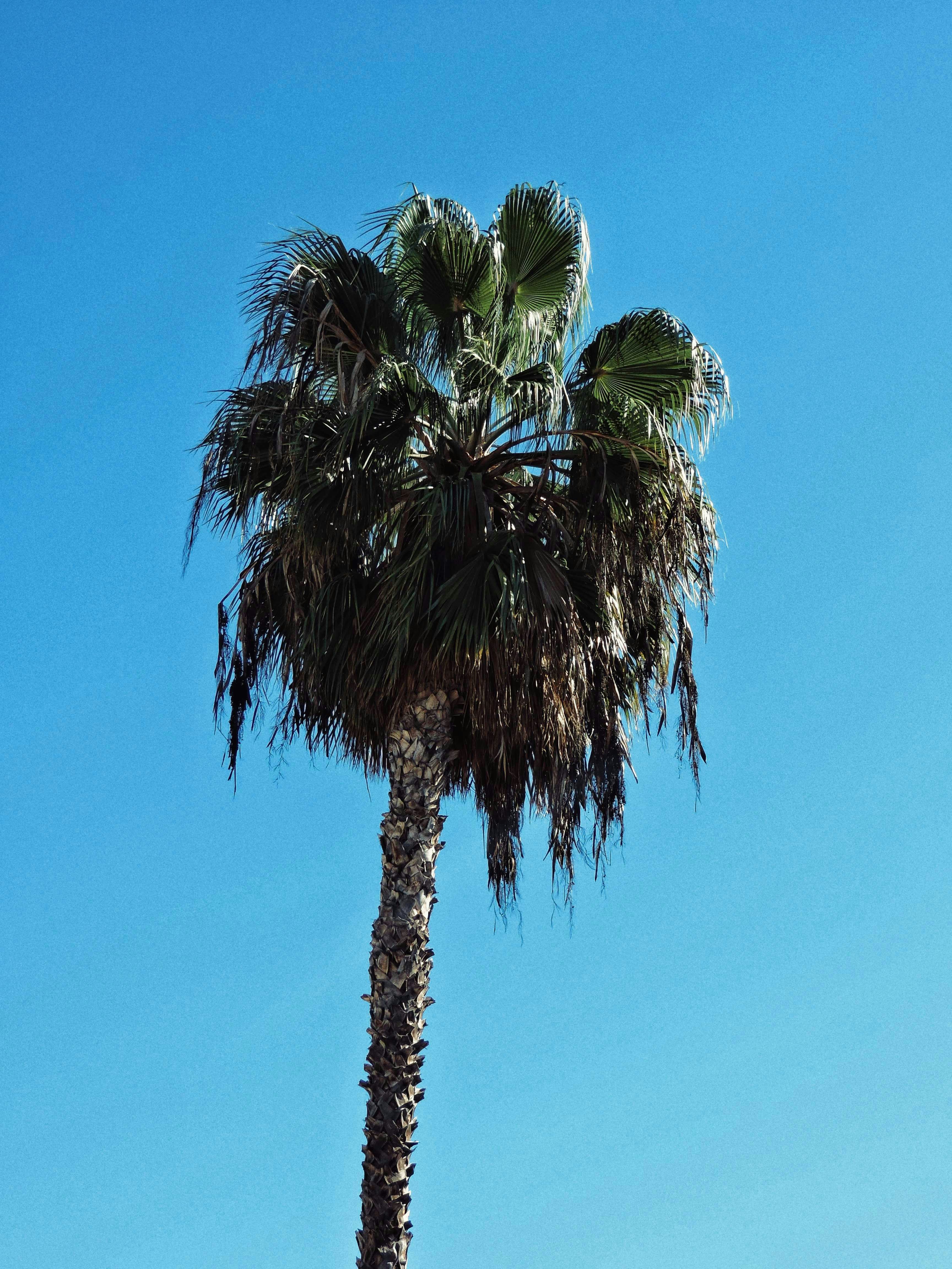 Photo by sebenrique12