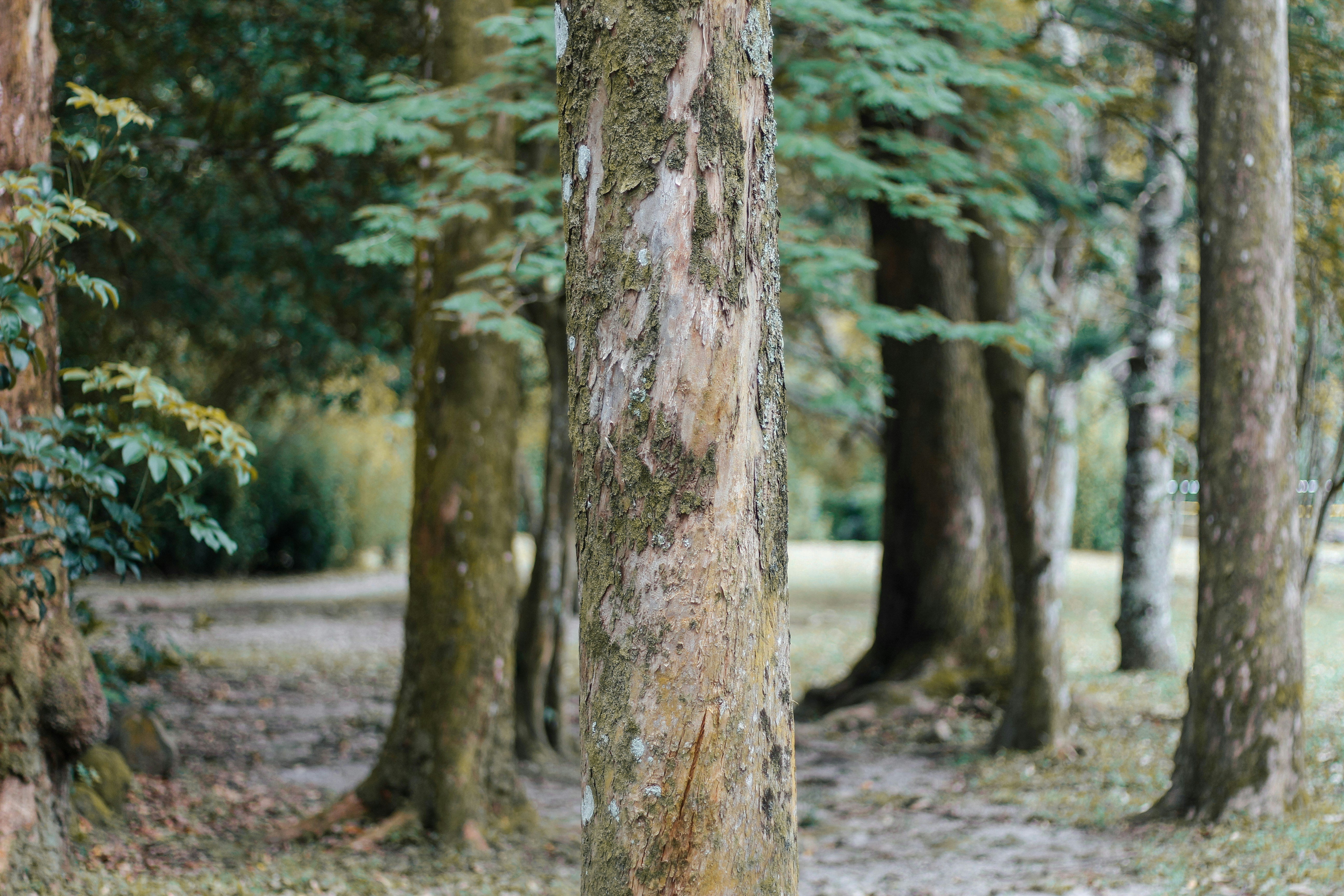 Photo by benjaminguardia