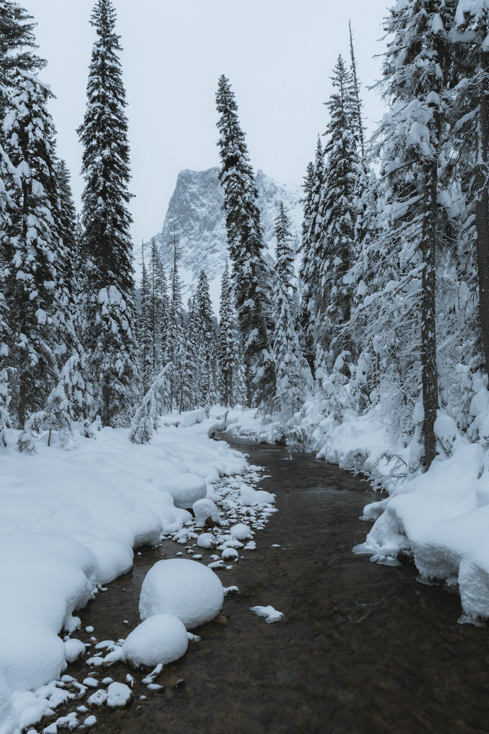 a stream running through a snow covered forest