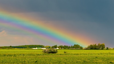 a rainbow in the sky over a green field