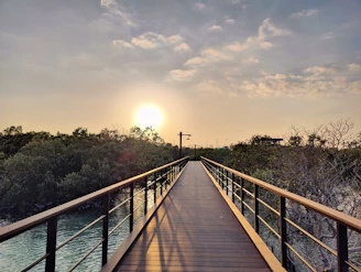 Wide shot of a PRFV pultruded walkway over a wetland area at sunset.