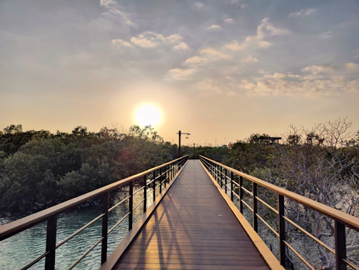 Wide shot of a PRFV pultruded walkway over a wetland area at sunset.