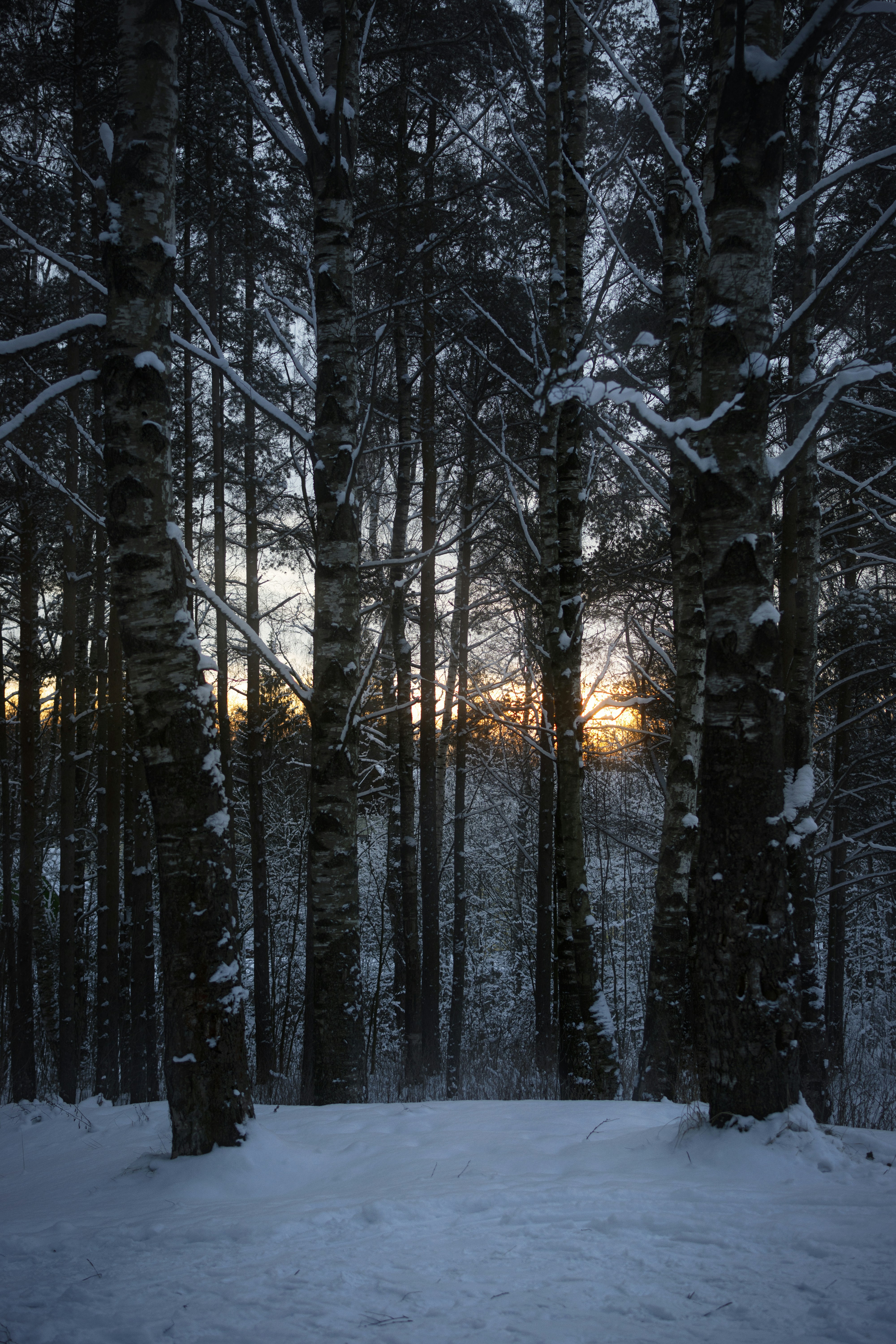 Photo by eadutskevich