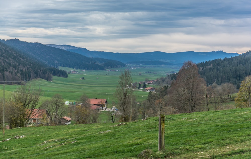 a lush green hillside covered in lots of trees