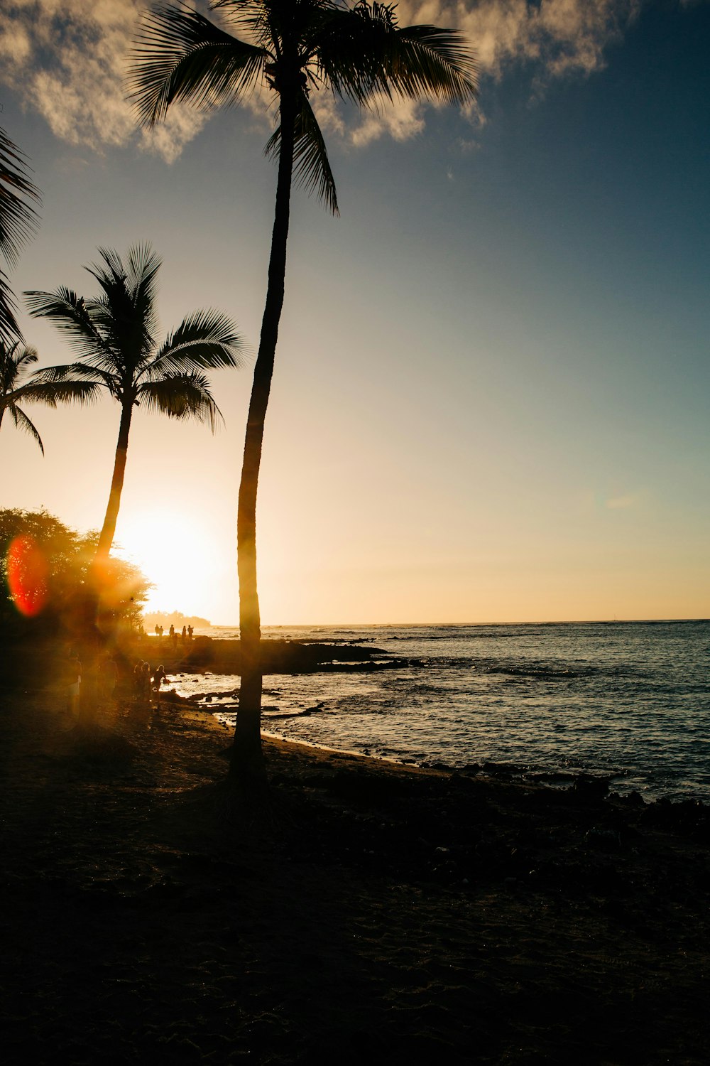 a couple of palm trees sitting on top of a beach