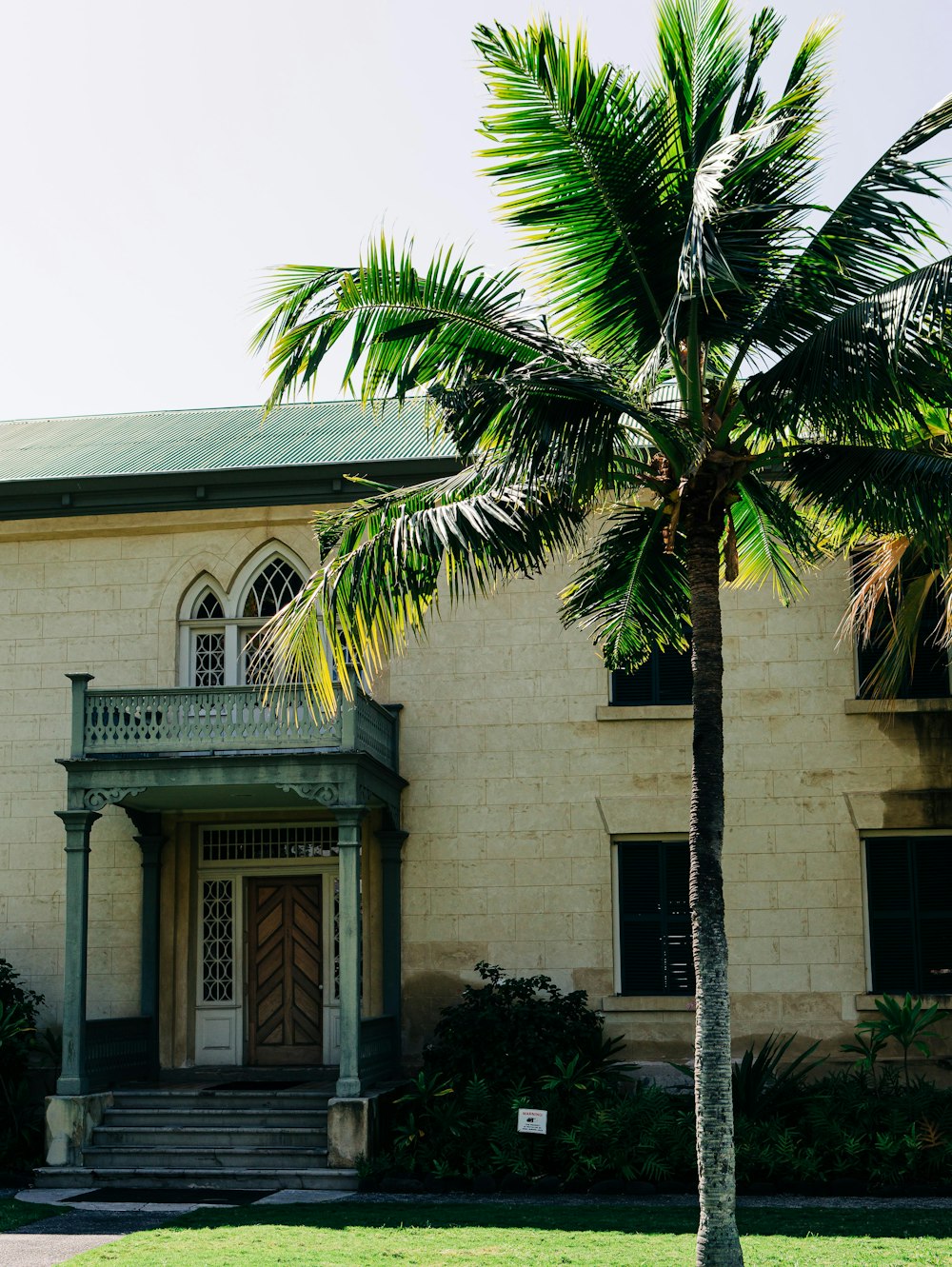 a palm tree in front of a large house