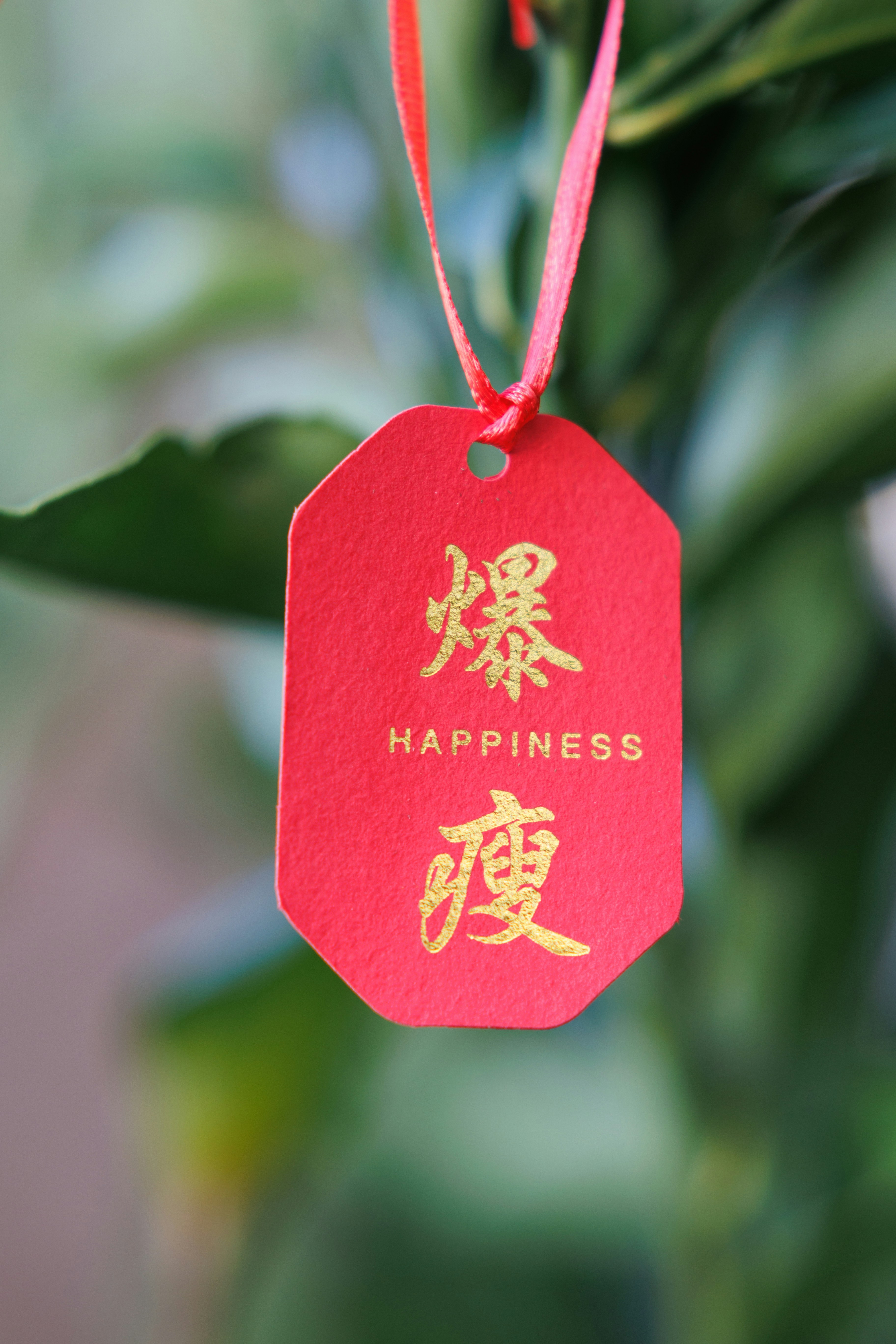 Harness Positive Energy: Your Guide to Manifest Abundance