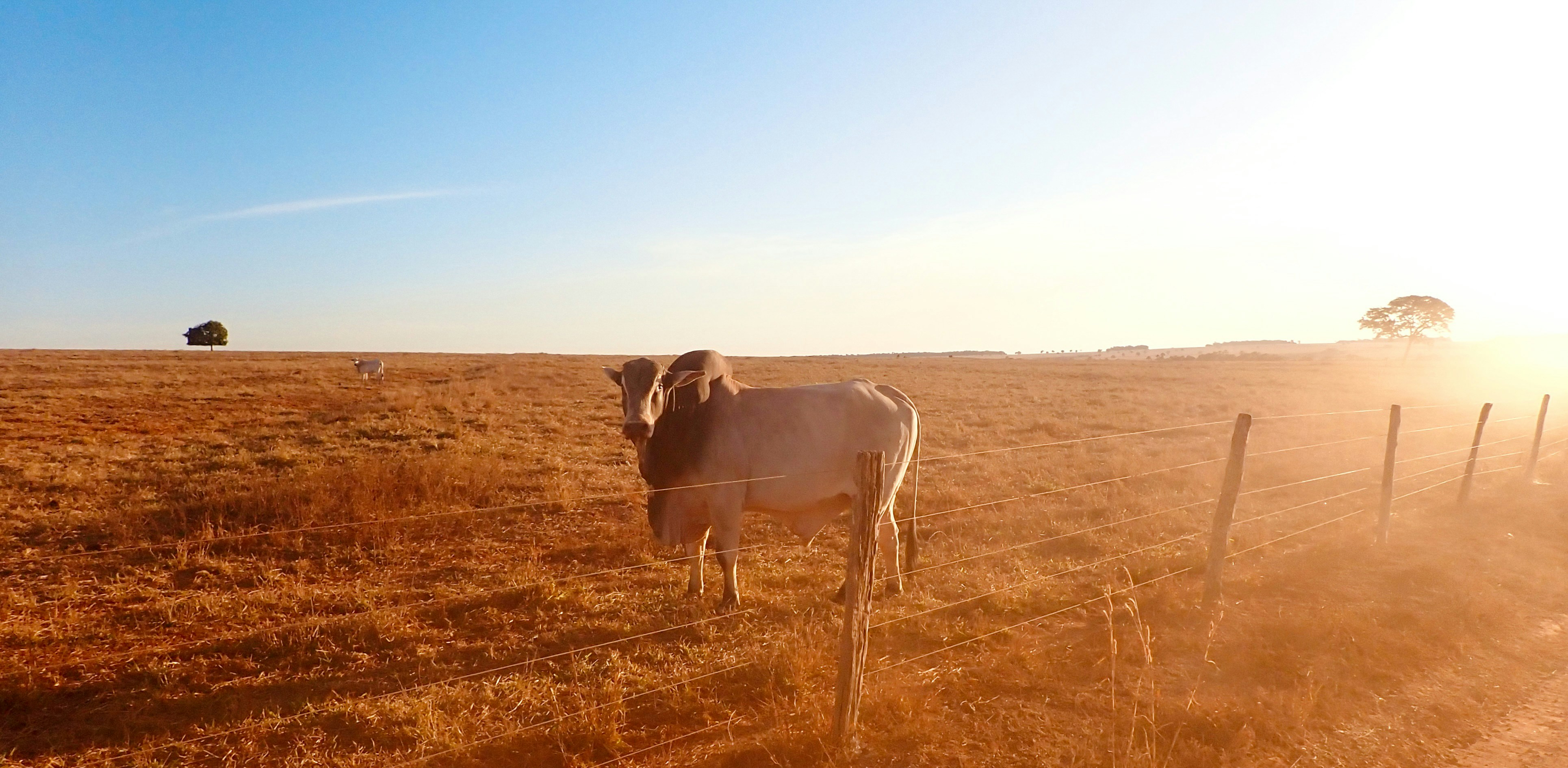 Photo by seewonderfulthings