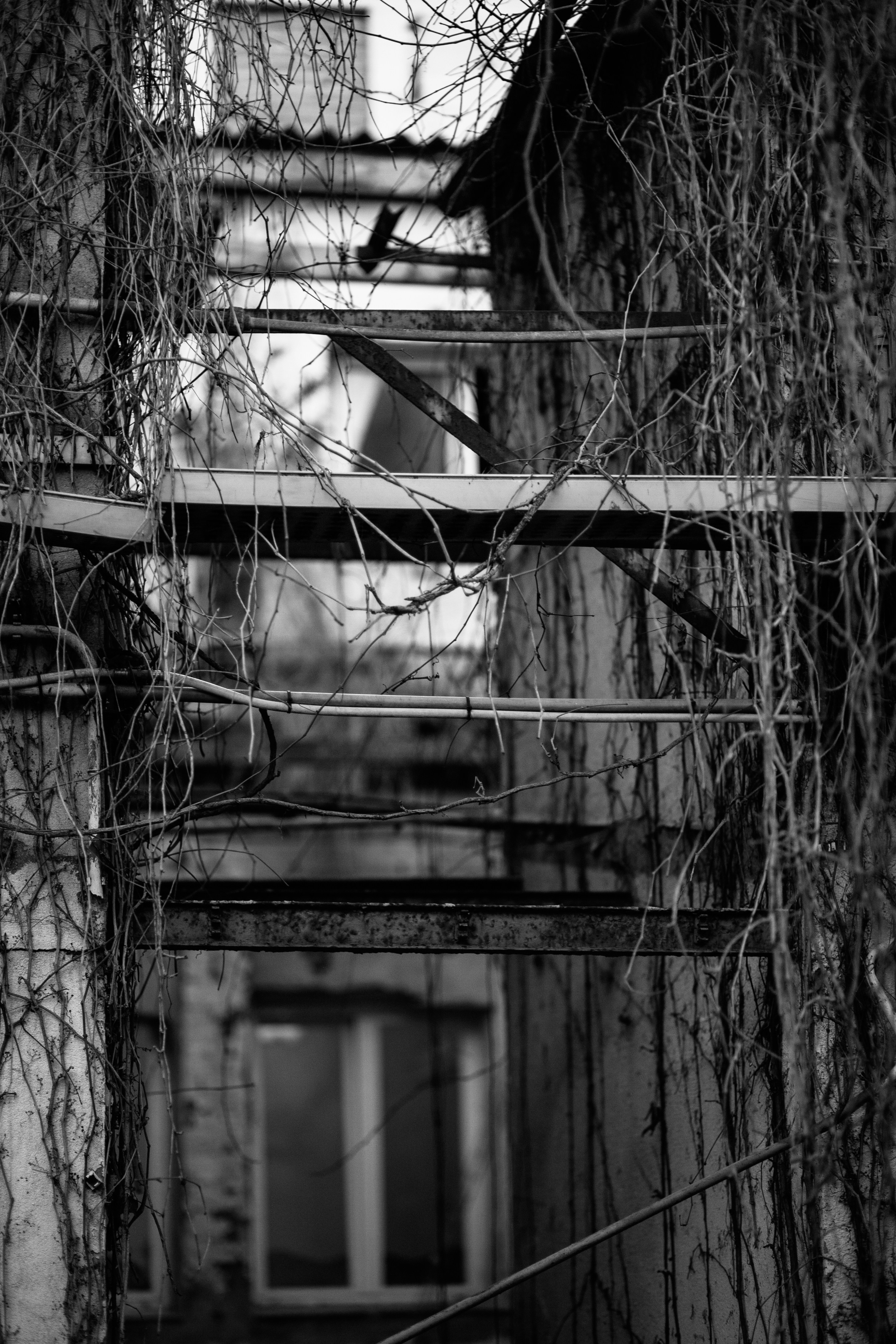 Photo by skatienstuksuma