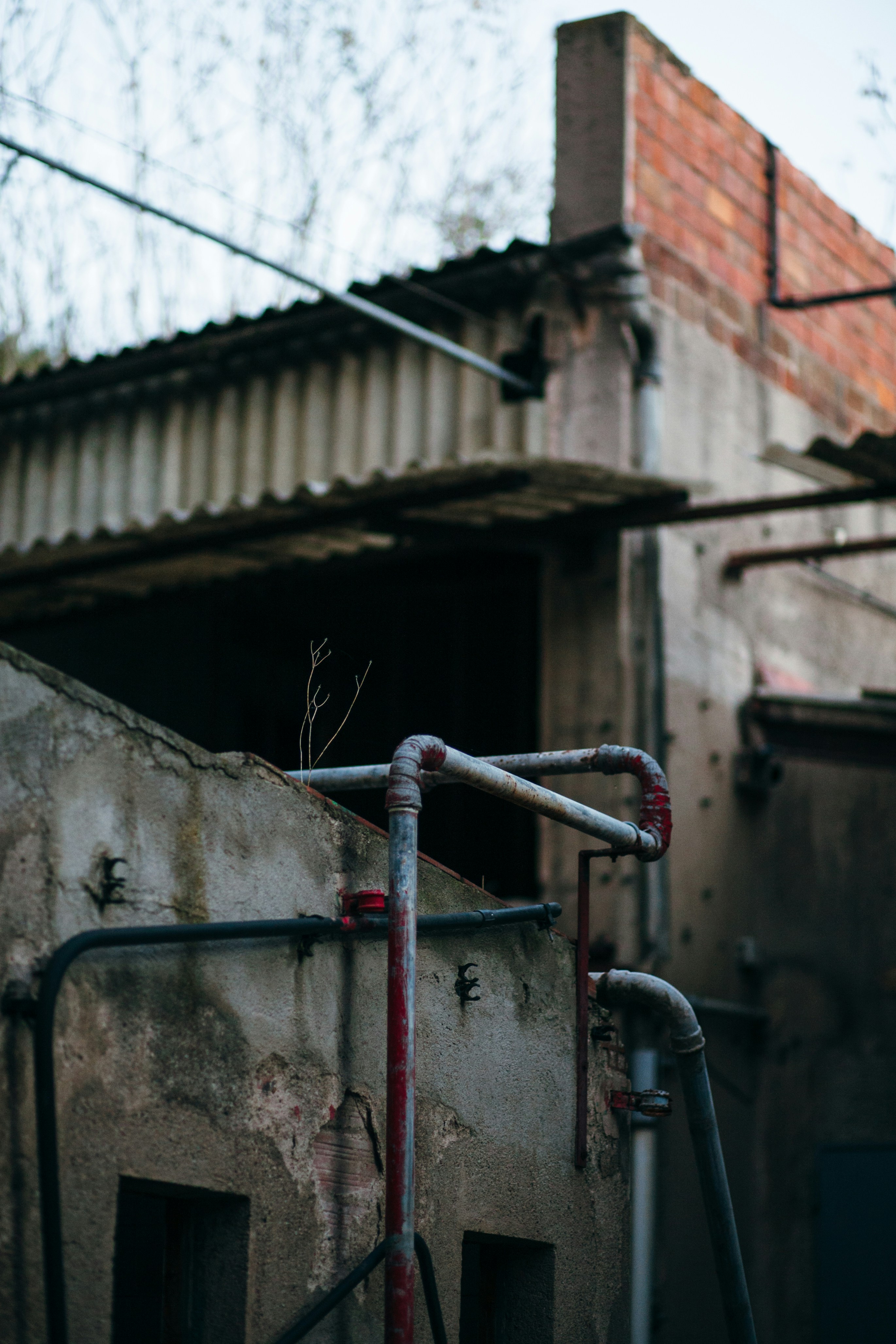 Photo by skatienstuksuma