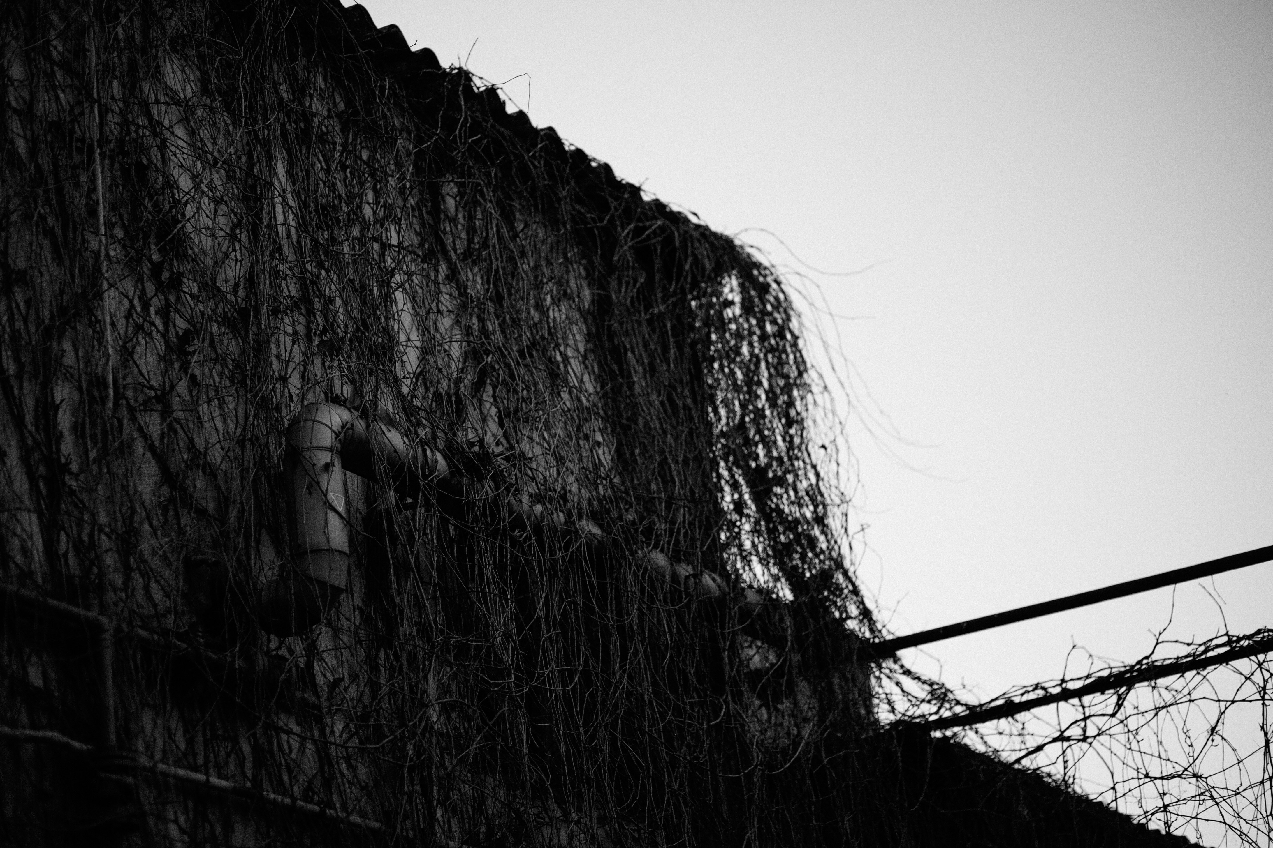 Photo by skatienstuksuma