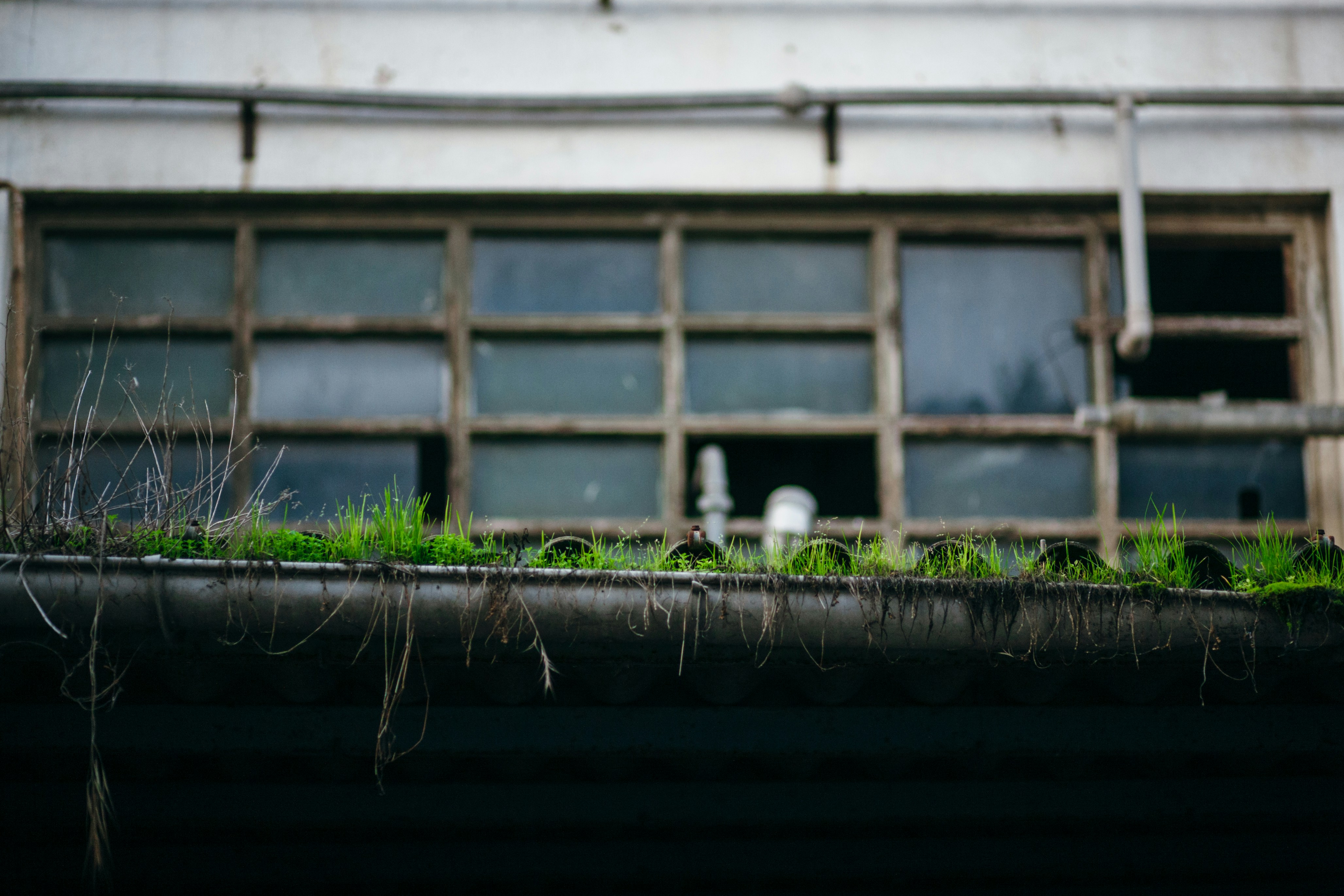 Photo by skatienstuksuma