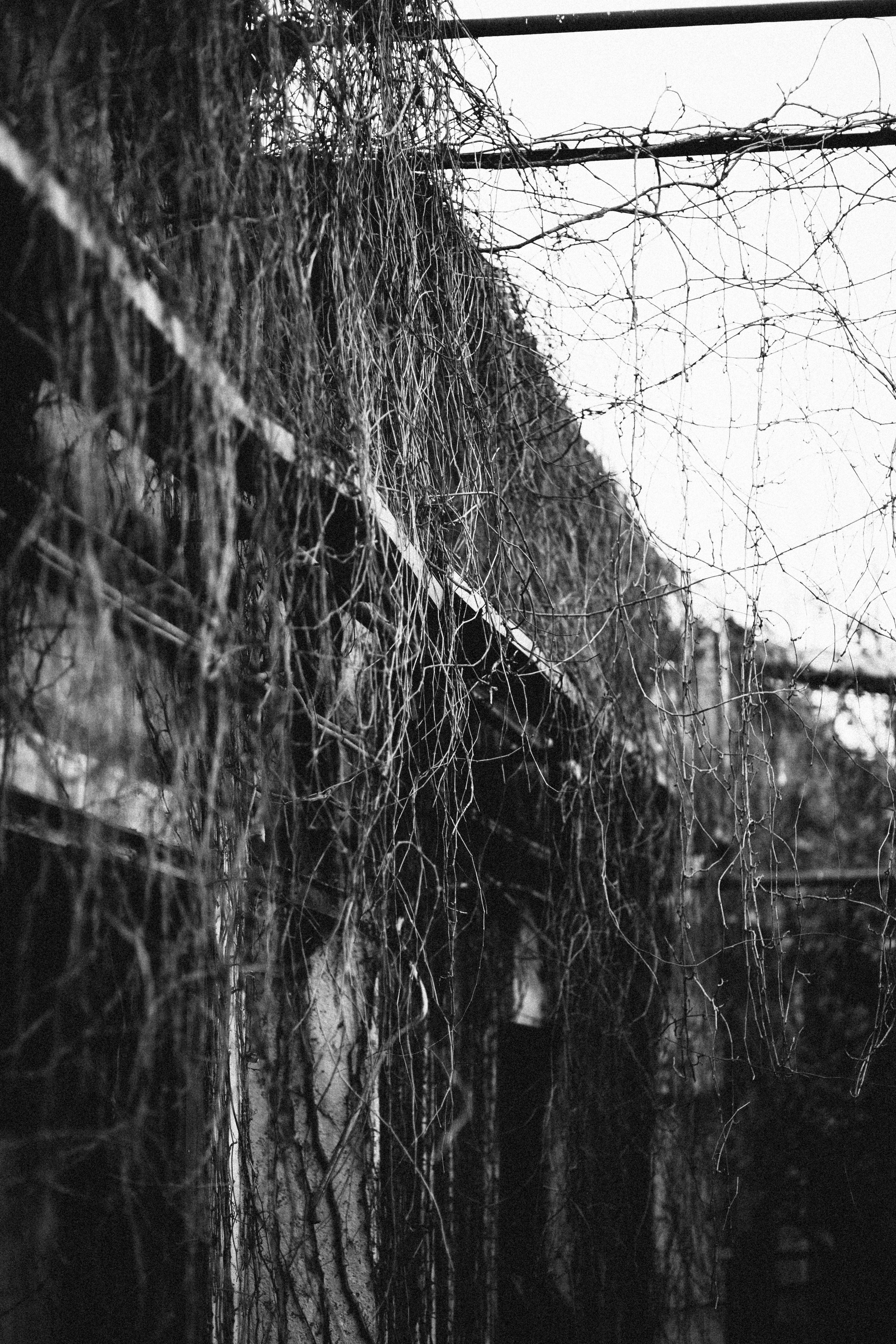 Photo by skatienstuksuma