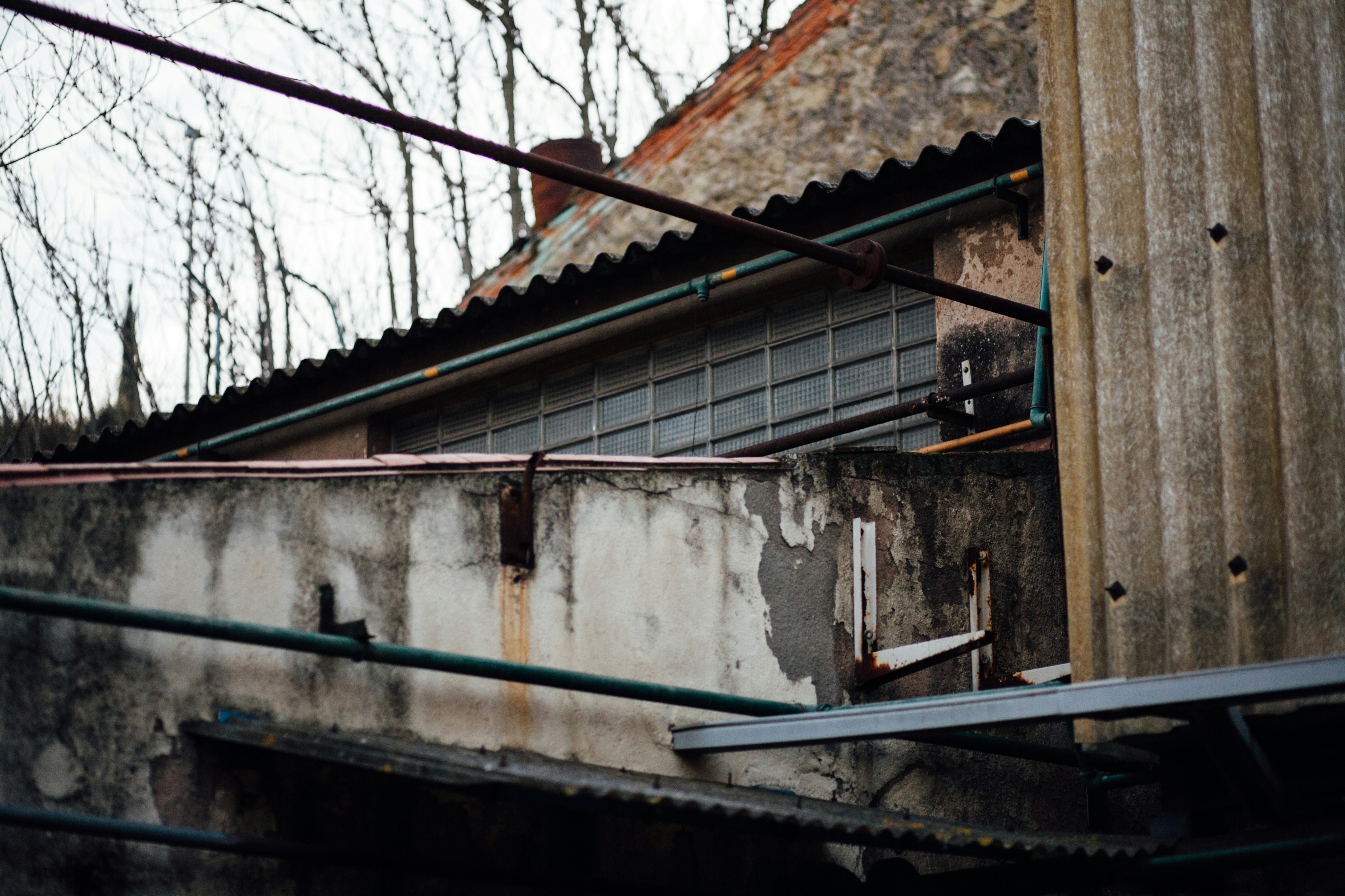 Photo by skatienstuksuma