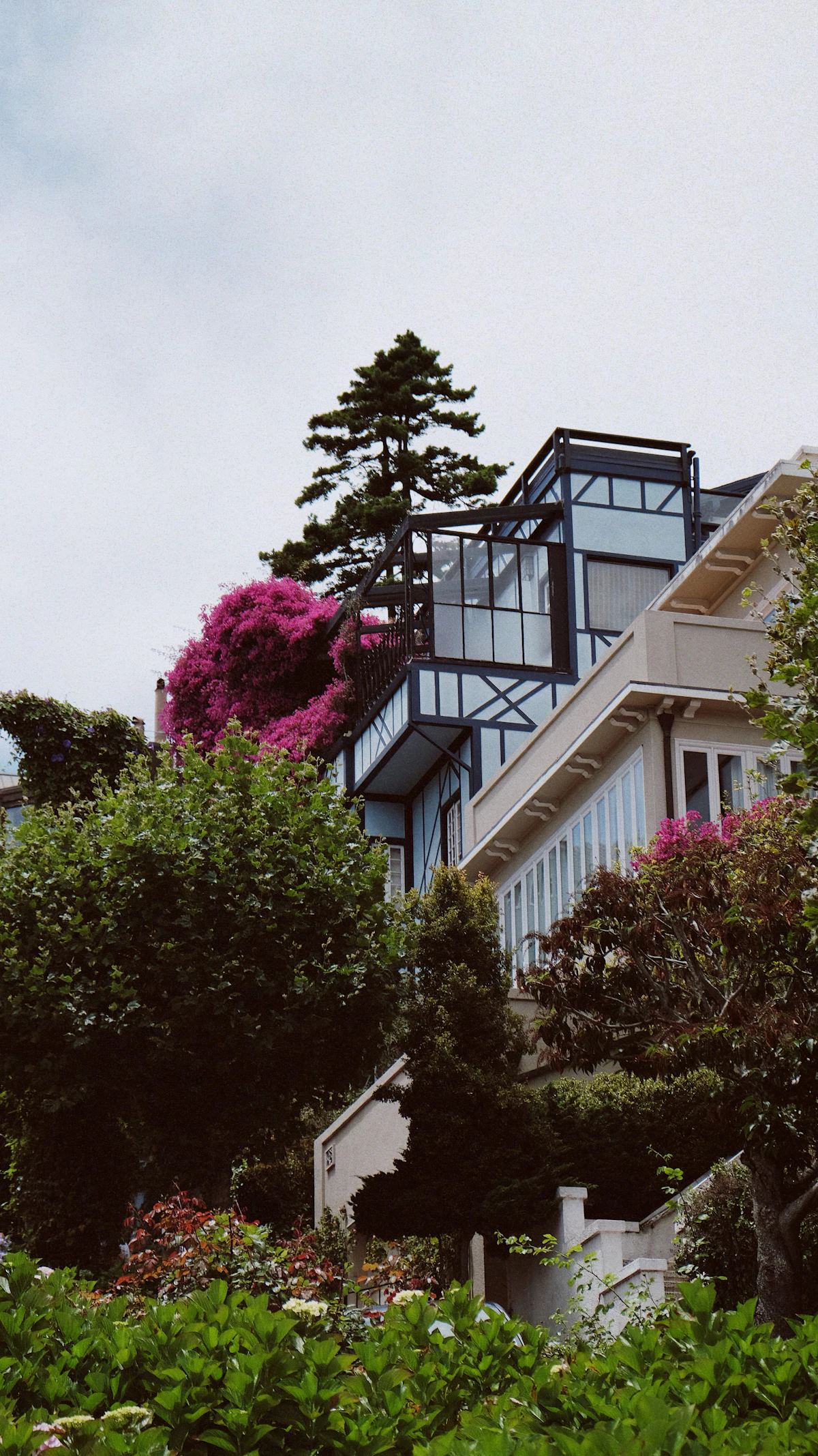 A San Francisco building wrapped in trees and flowers