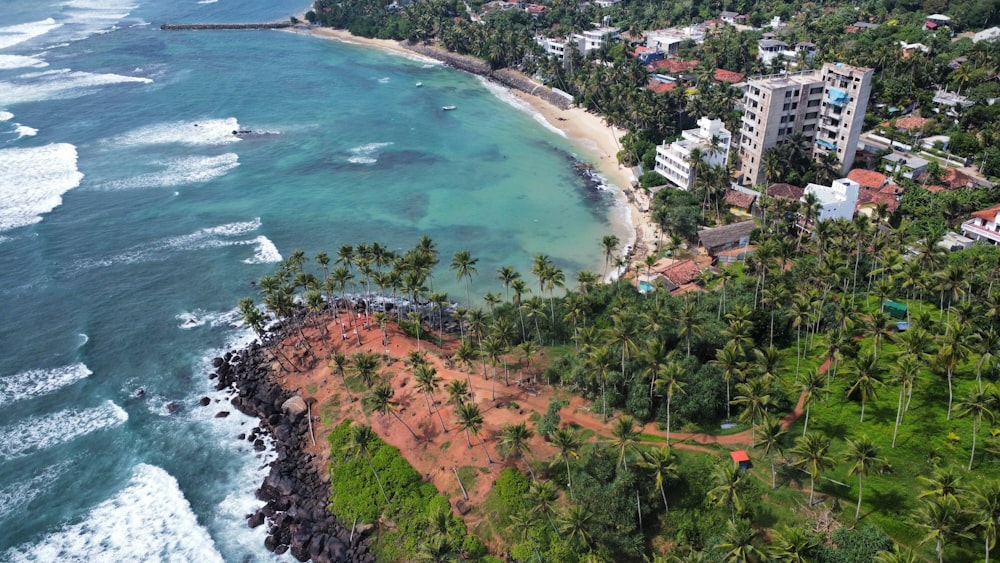 an aerial view of a beach and ocean