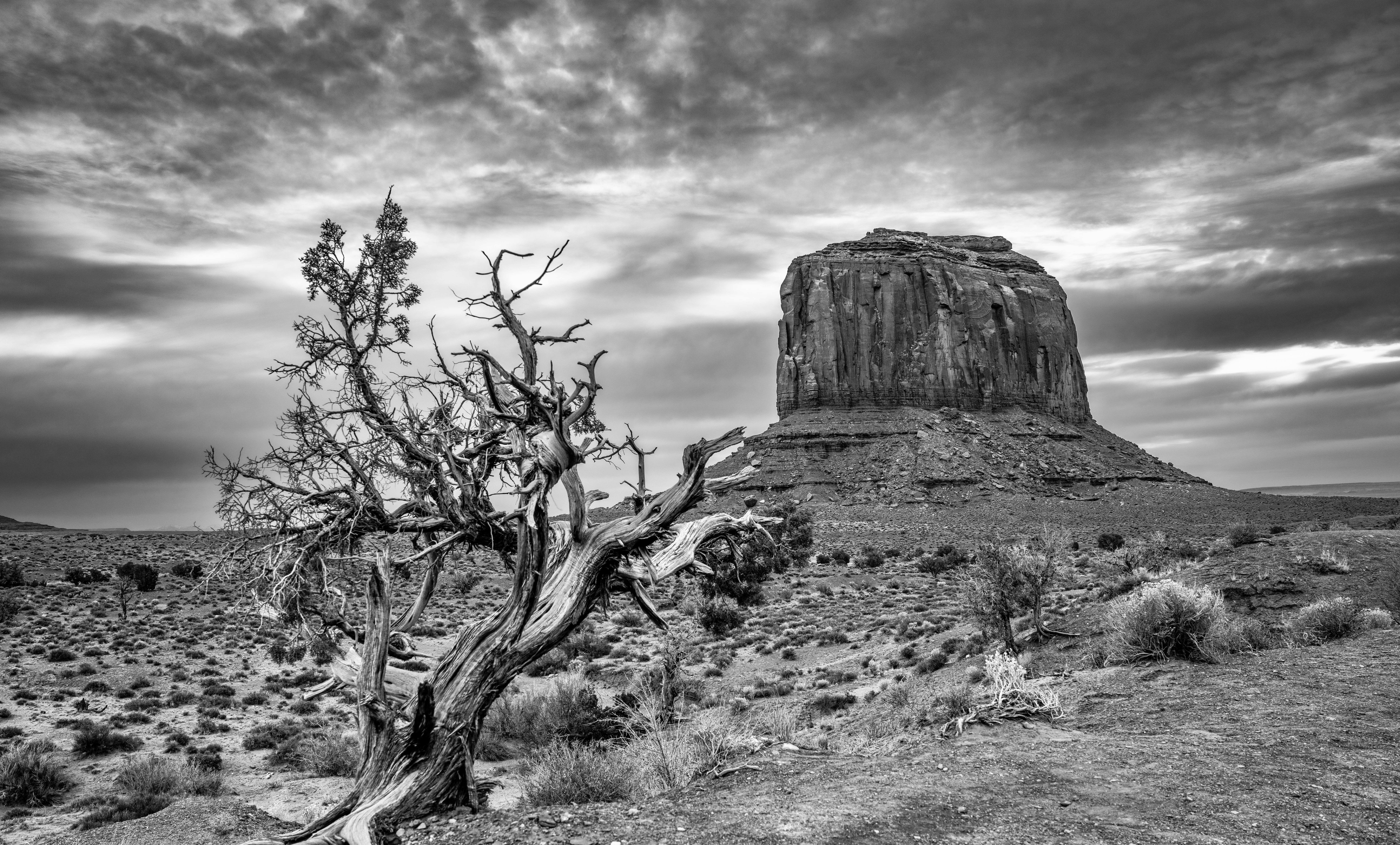 Photo by happy_pixel