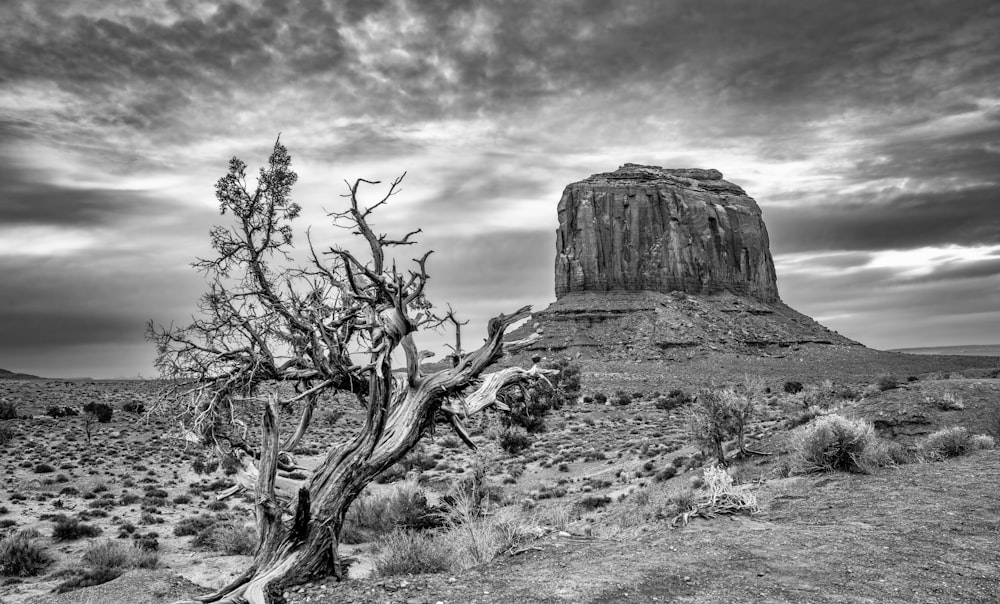 Una foto en blanco y negro de un paisaje desértico