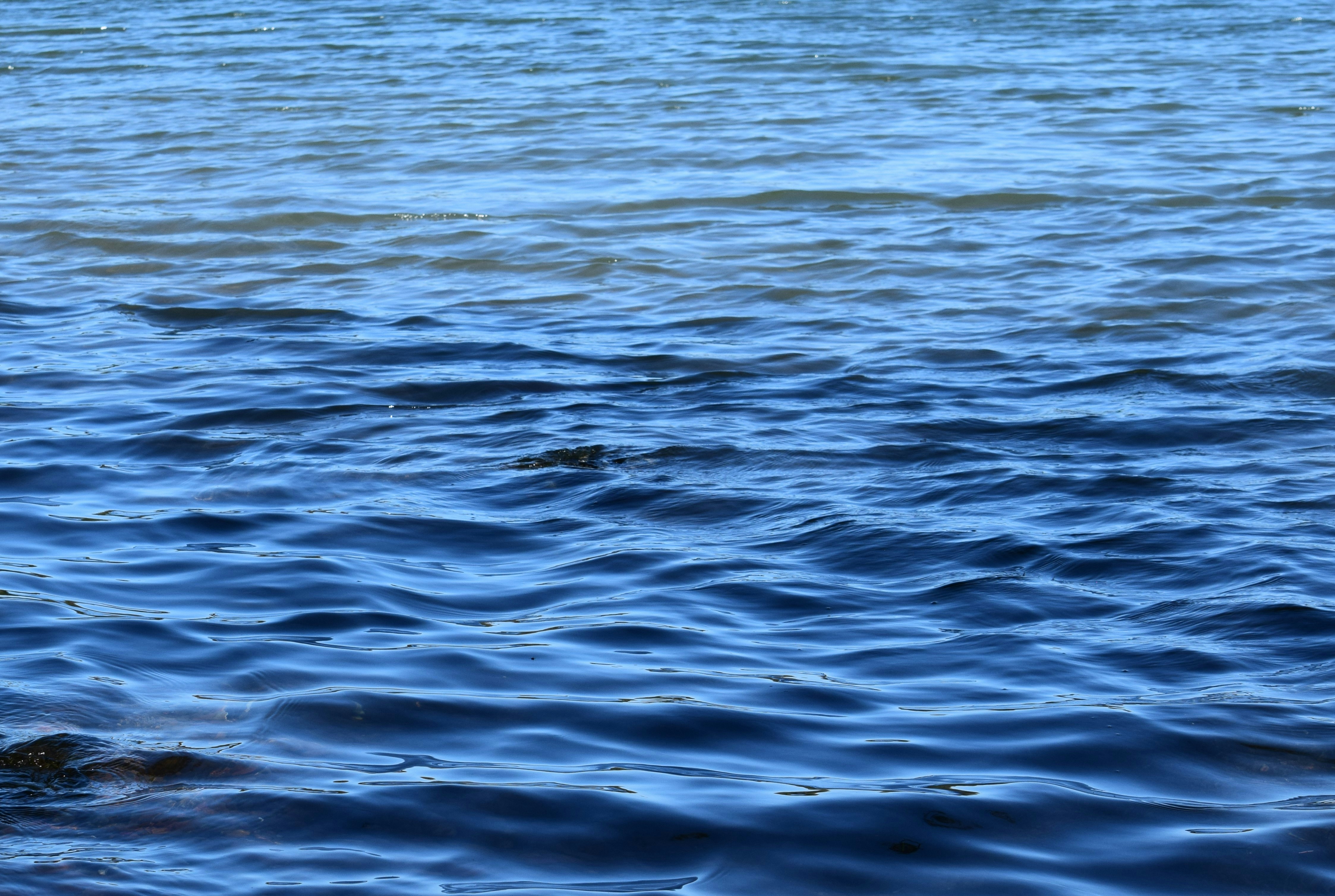 Photo by ch_photography