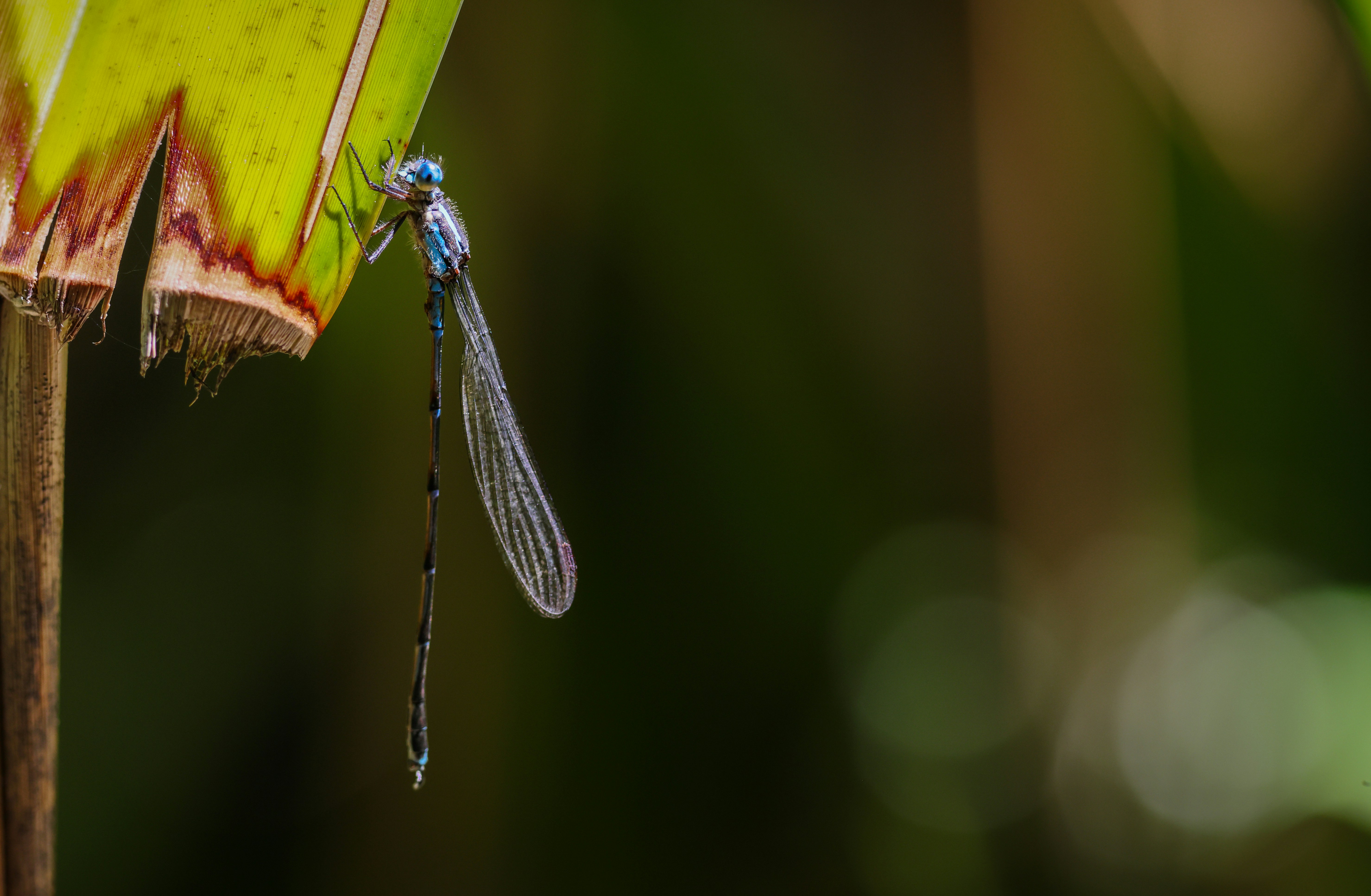 Photo by tonystoddard