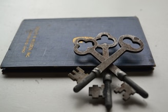 a bunch of old keys sitting on top of a book