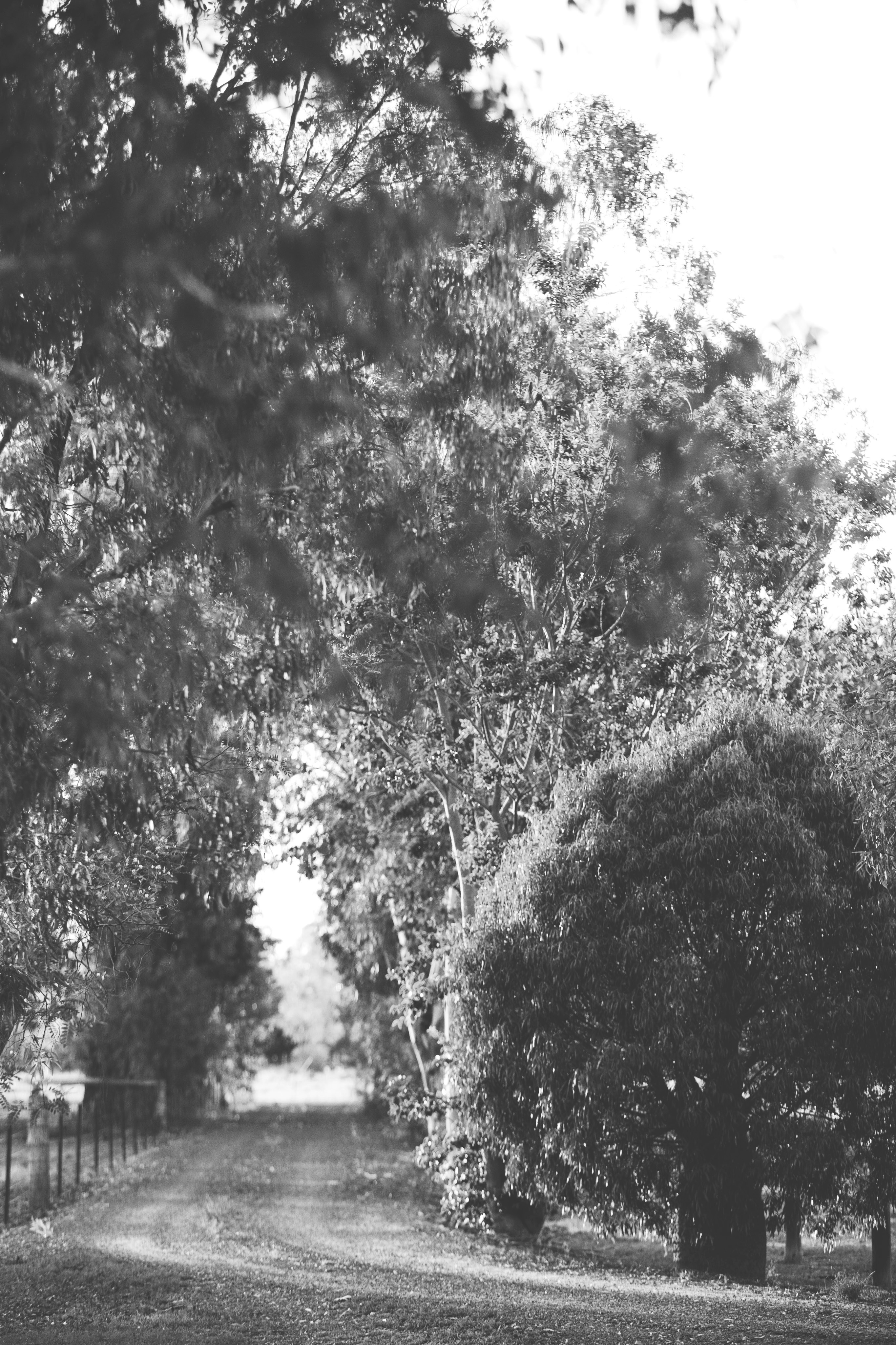 Faithful Journeys Ebook