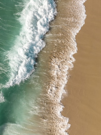 Waves gently washing onto a sandy shore, creating a dynamic and rhythmic pattern where the water meets the beach. The white froth of the waves contrasts with the deep green of the sea and the warm beige of the sand.