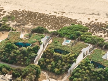 Aerial view of several small buildings with green roofs, surrounded by lush vegetation. The structures appear to be nestled close to a sandy beach, with a backdrop of natural shrubbery and expanses of sand.