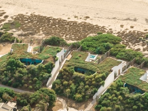 Aerial view of several small buildings with green roofs, surrounded by lush vegetation. The structures appear to be nestled close to a sandy beach, with a backdrop of natural shrubbery and expanses of sand.