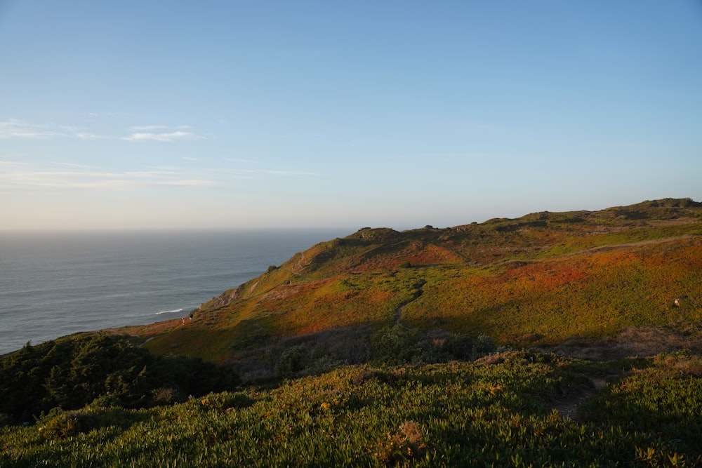 a grassy hill with a body of water in the background